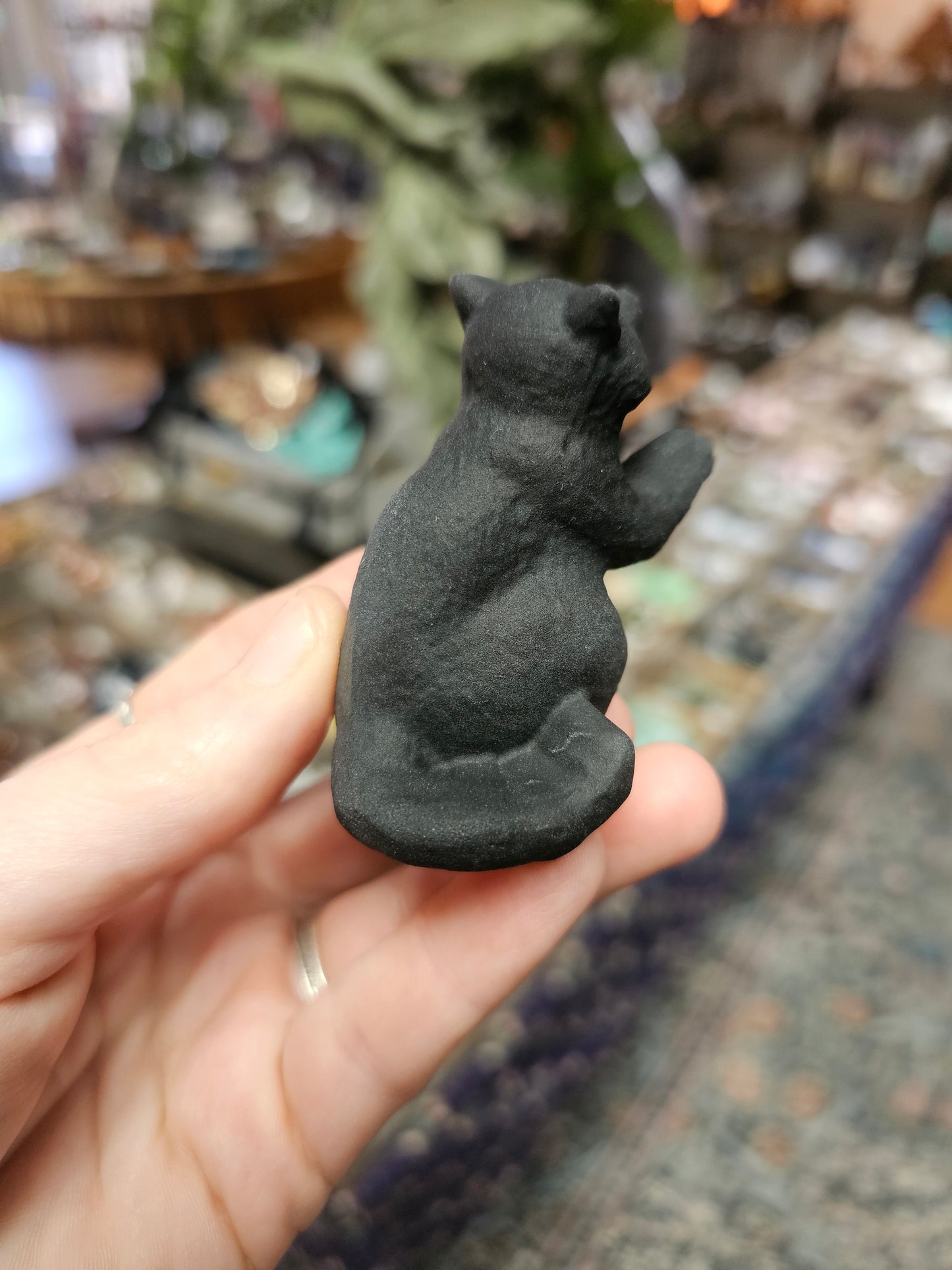 Obsidian Raccoon