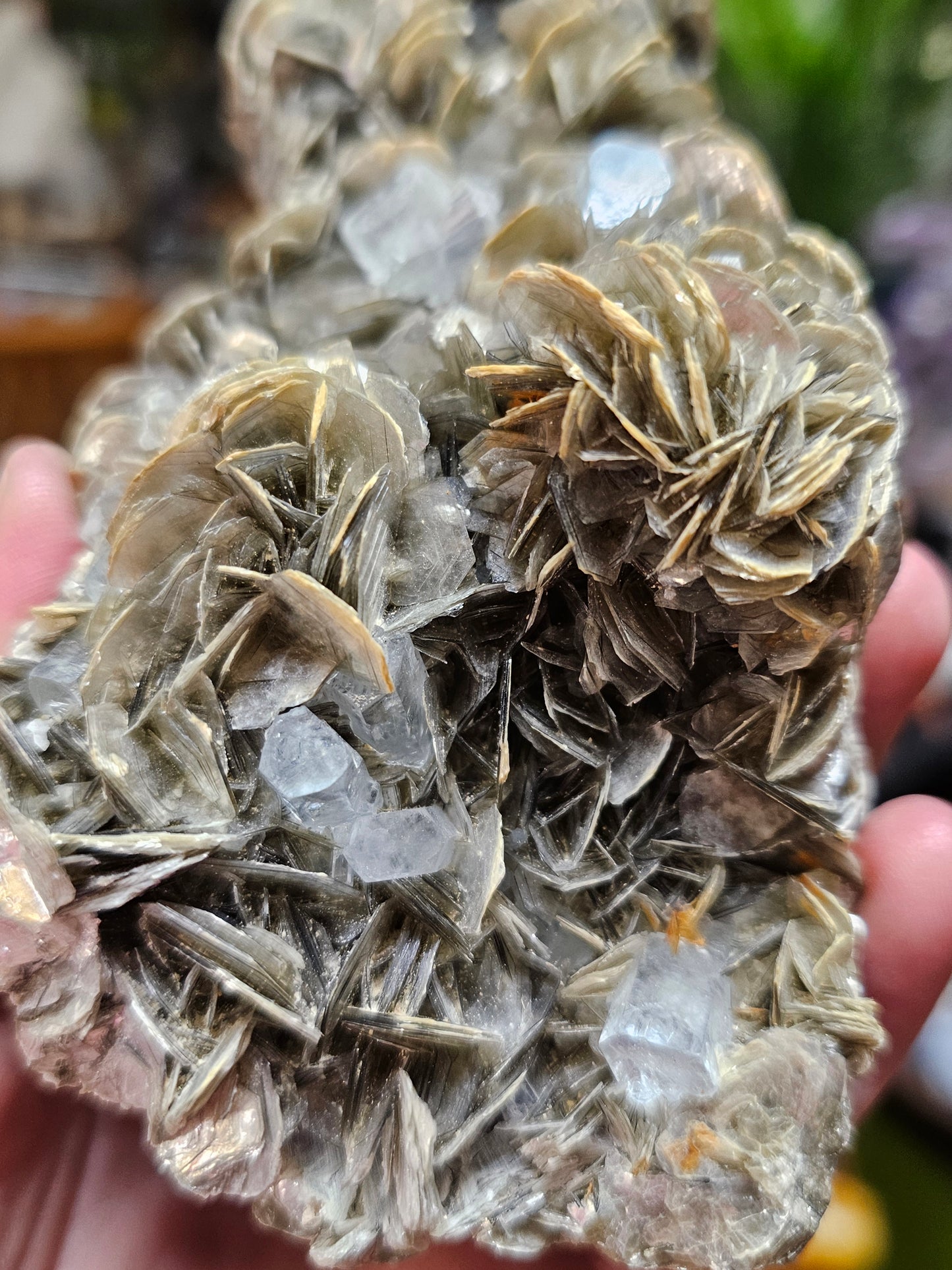Aquamarine on Muscovite
