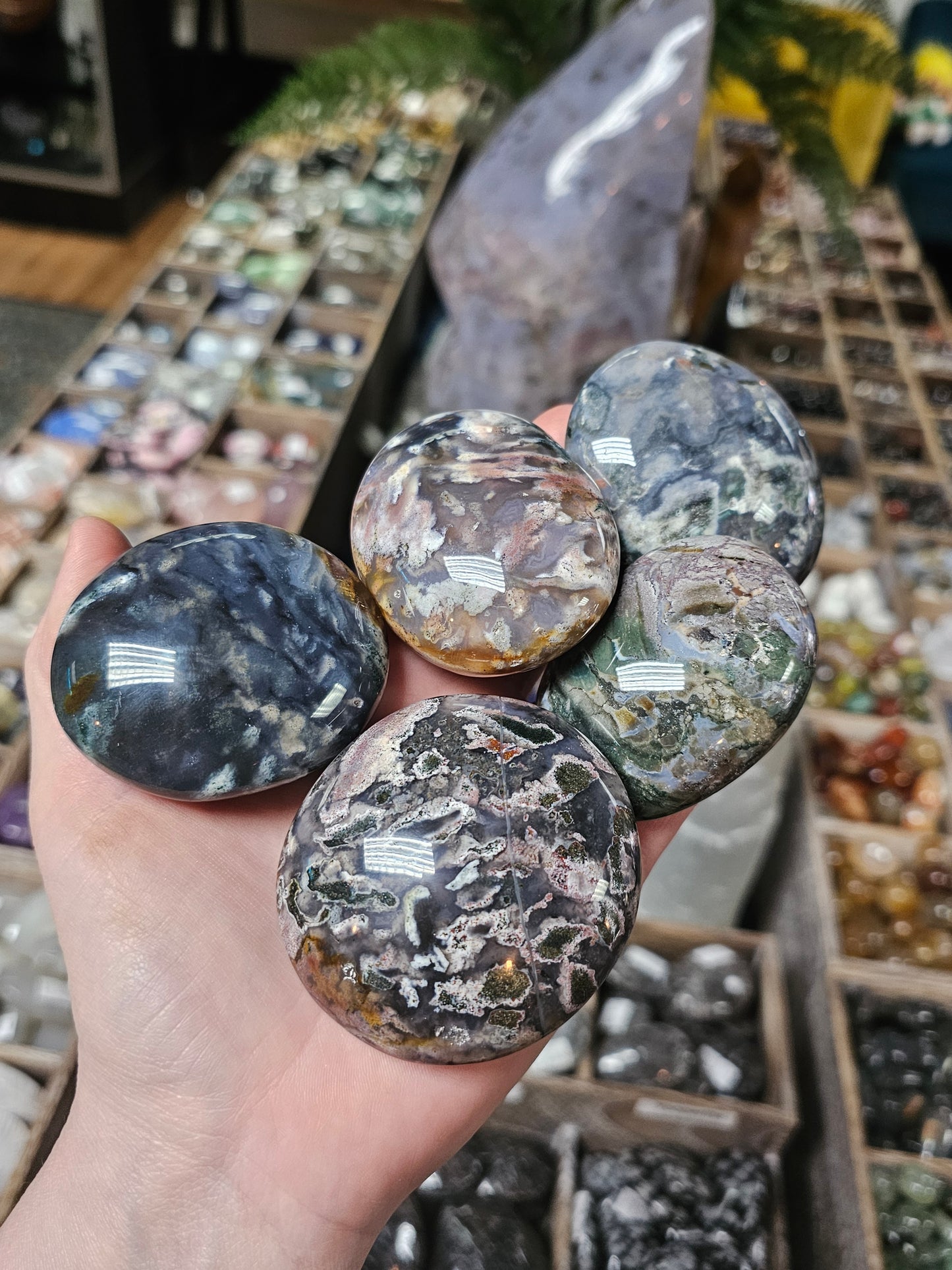 Cosmic Jasper Palmstone