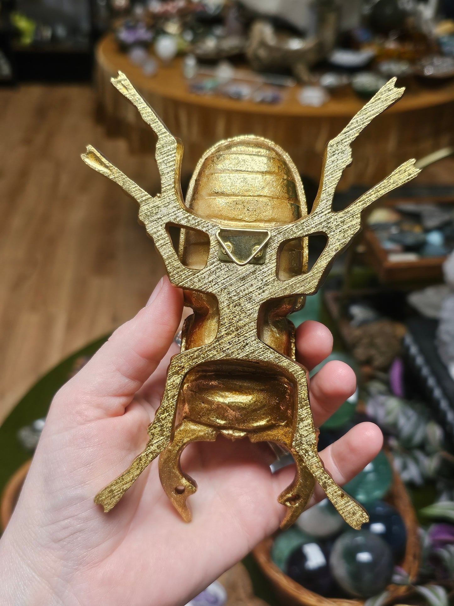 Golden Stag Beetle Wall Decor