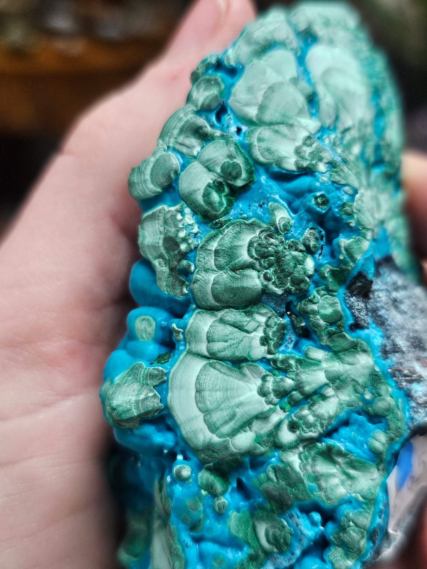 Chrysocolla & Malachite