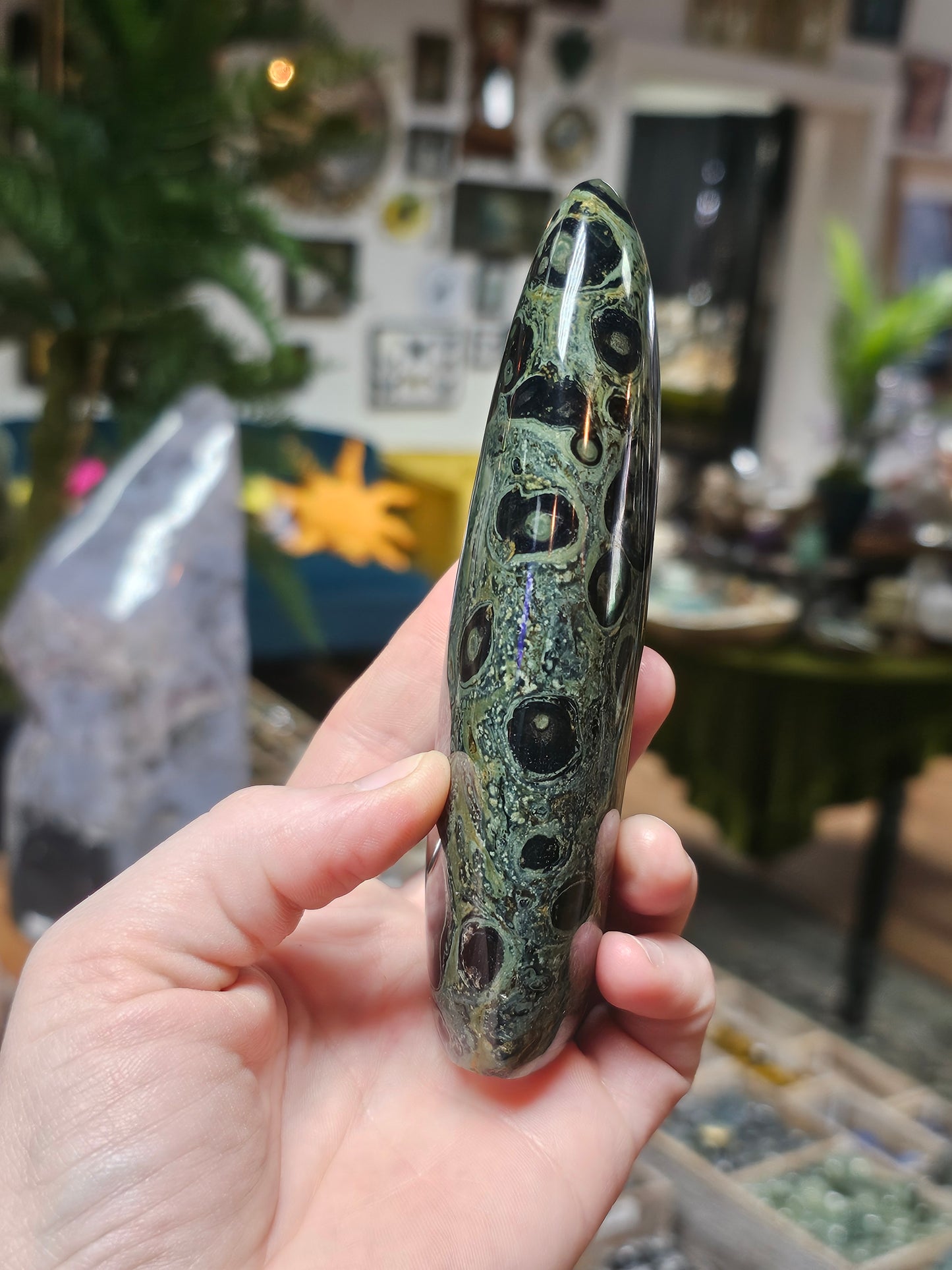 Kambaba Jasper Freeform