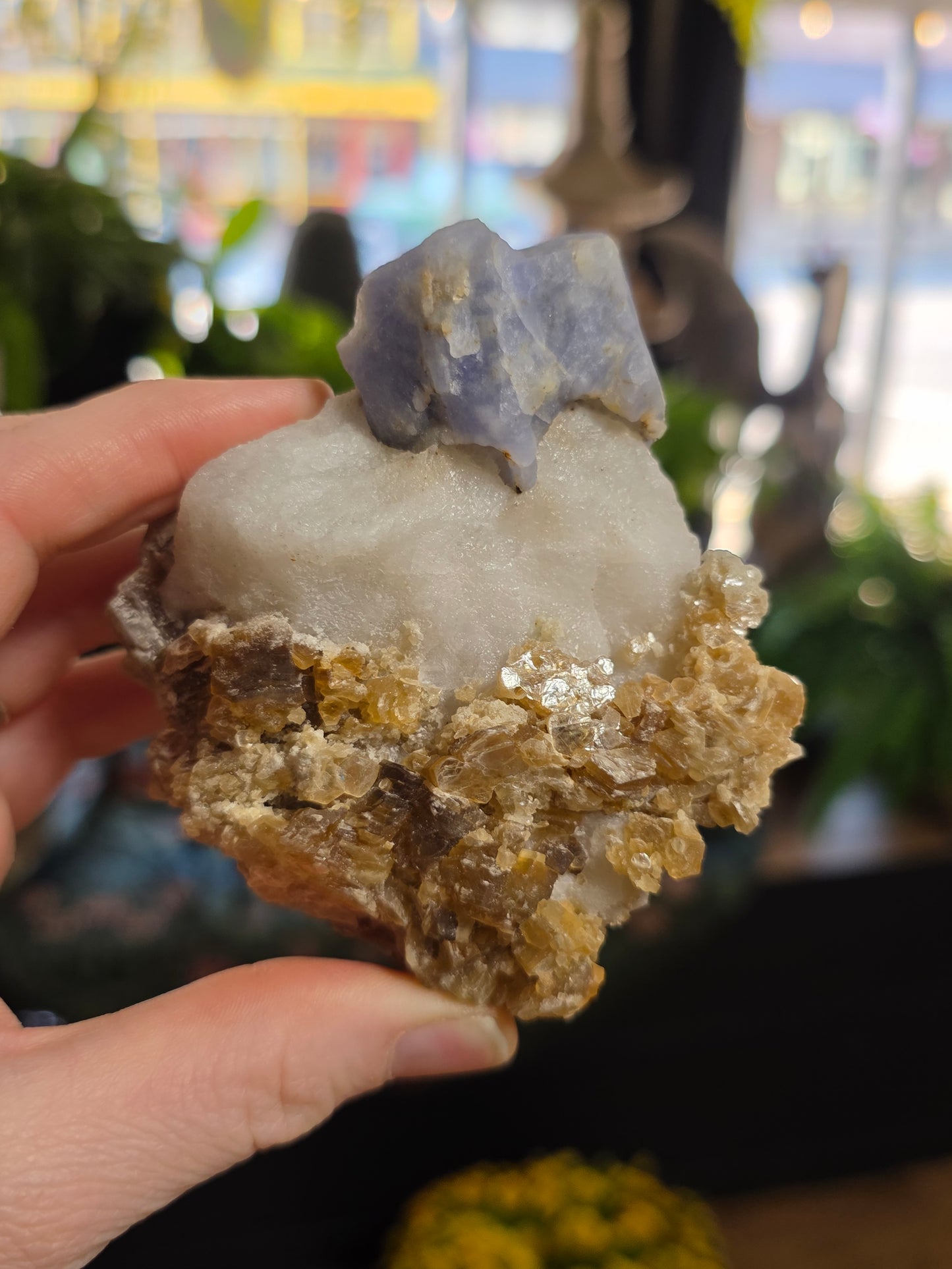 Hackmanite and Golden Mica on Albite