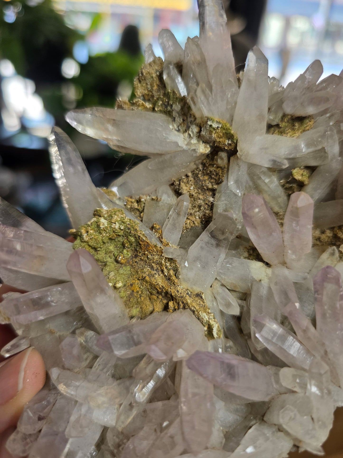 Vera Cruz Amethyst Specimen