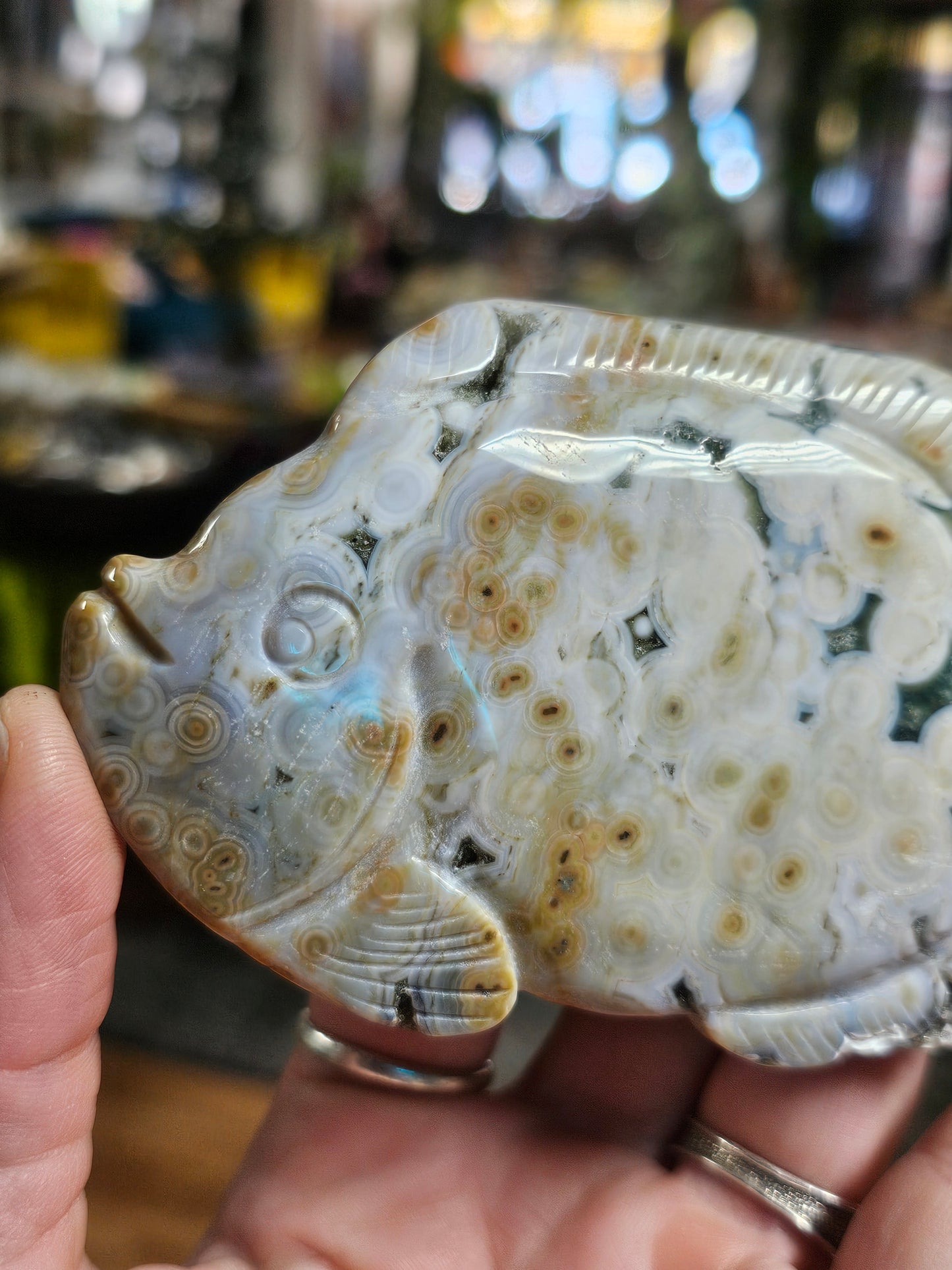 8th Vein Ocean Jasper Fish