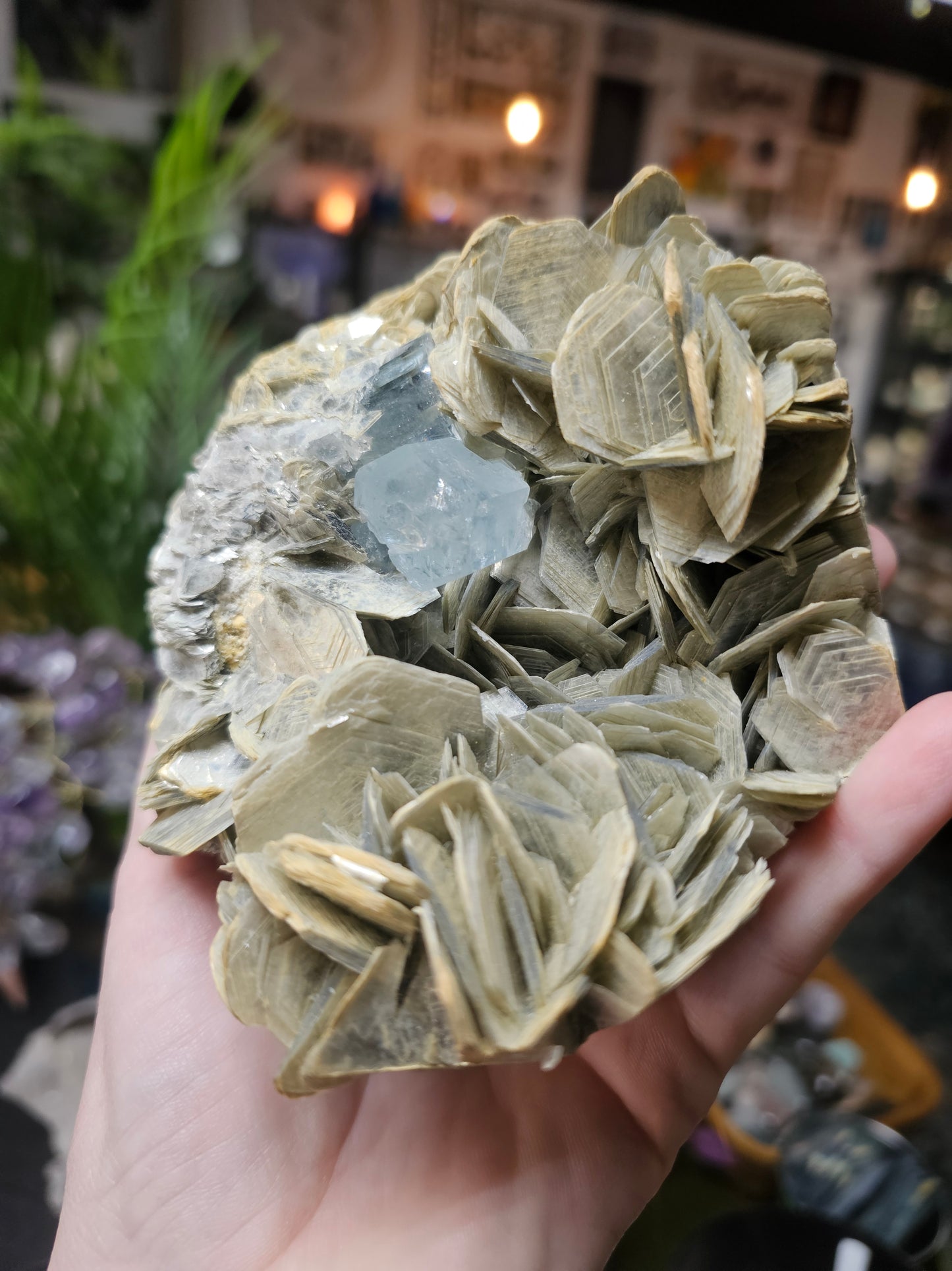 Aquamarine on Muscovite