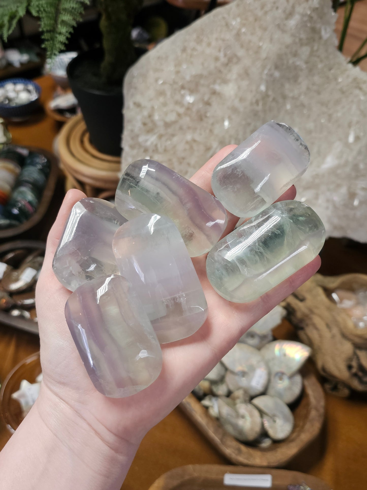 Lavendar Fluorite palms (Yttrium Fluorite)