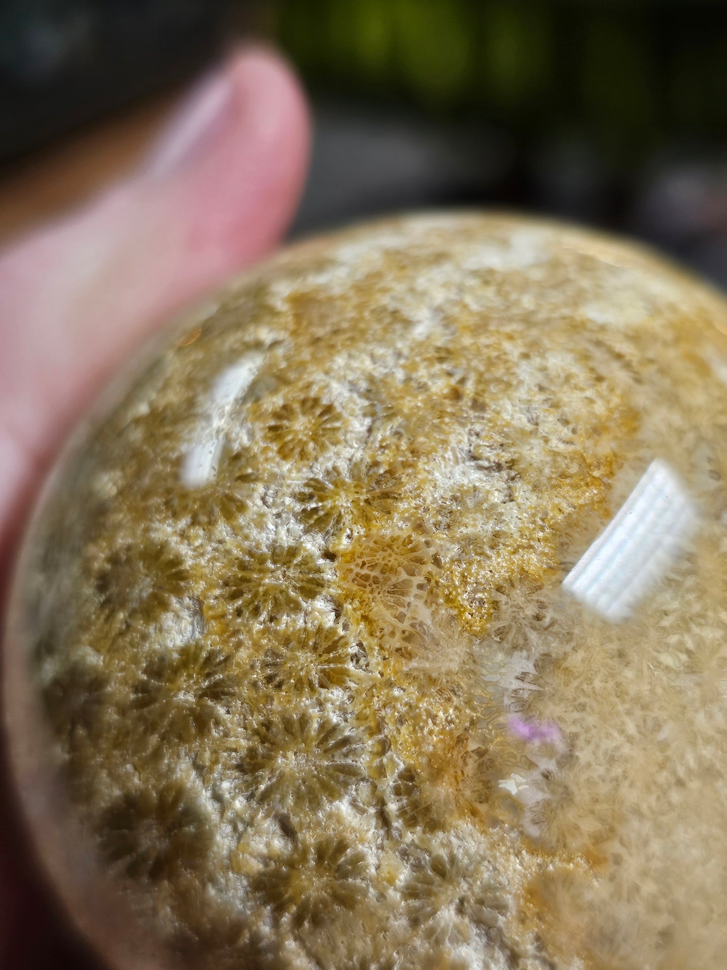 Coral Jade Sphere