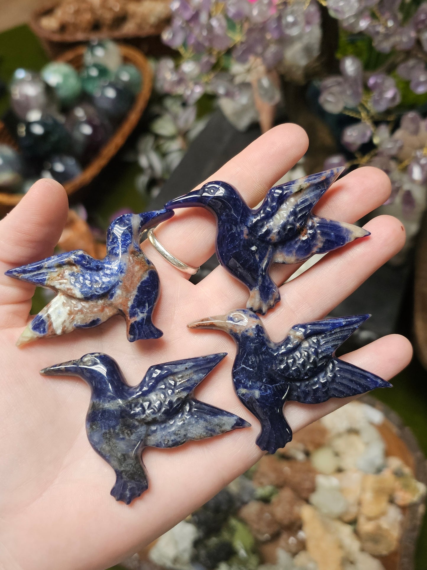 Sodalite Hummingbird Carving