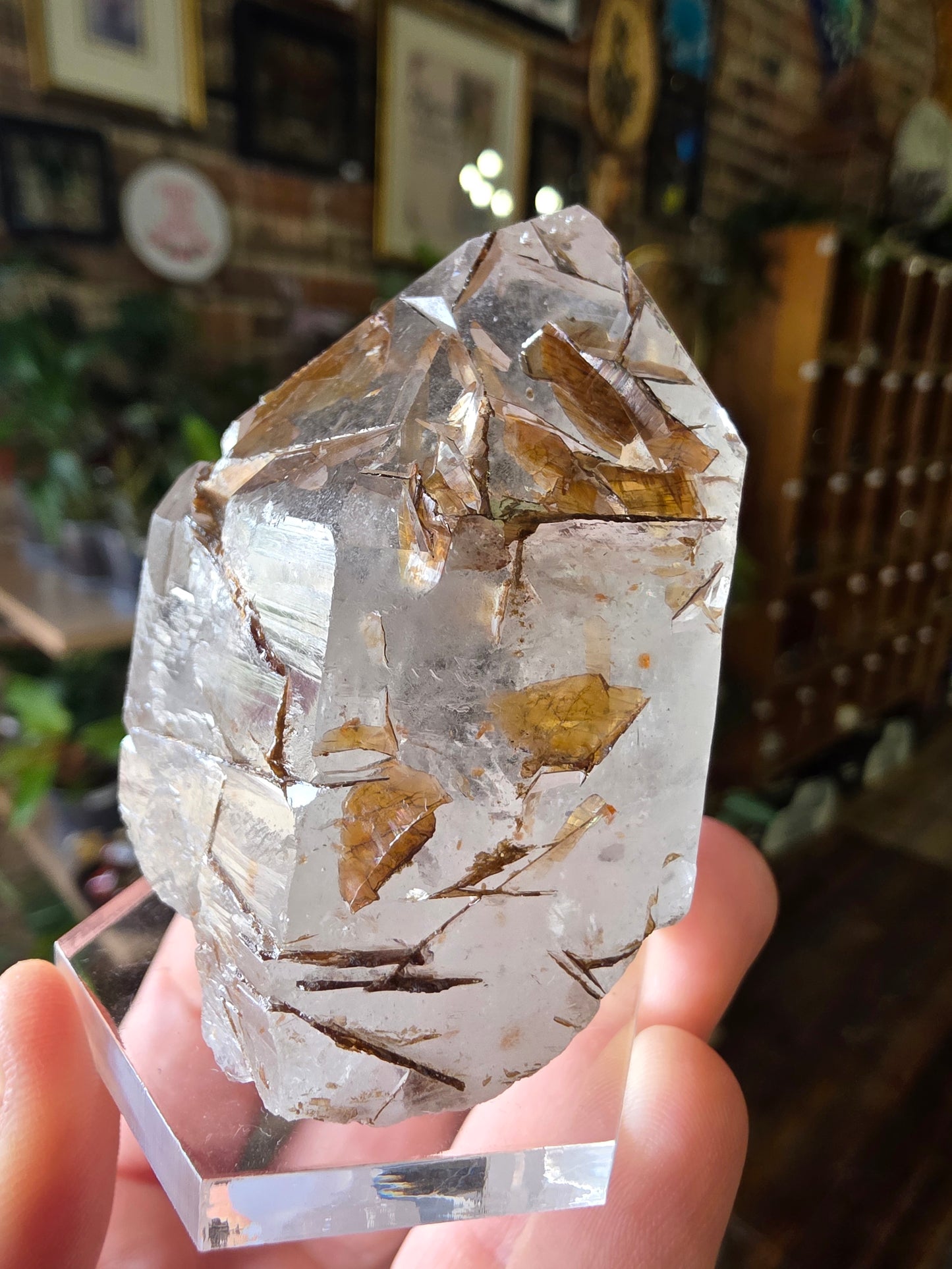 Brookite in Quartz