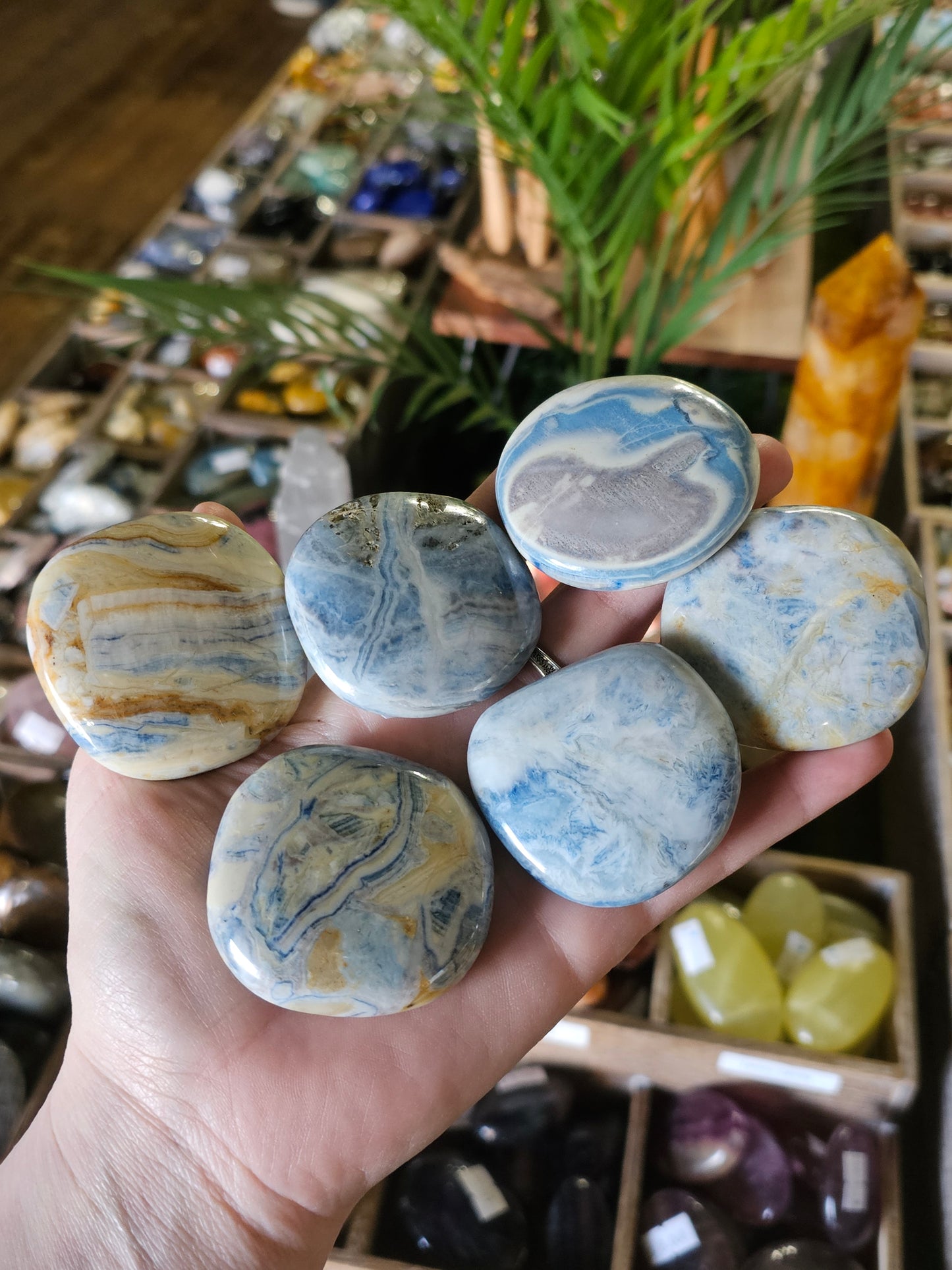 Lapis Lace Palm Stone (Scheelite)