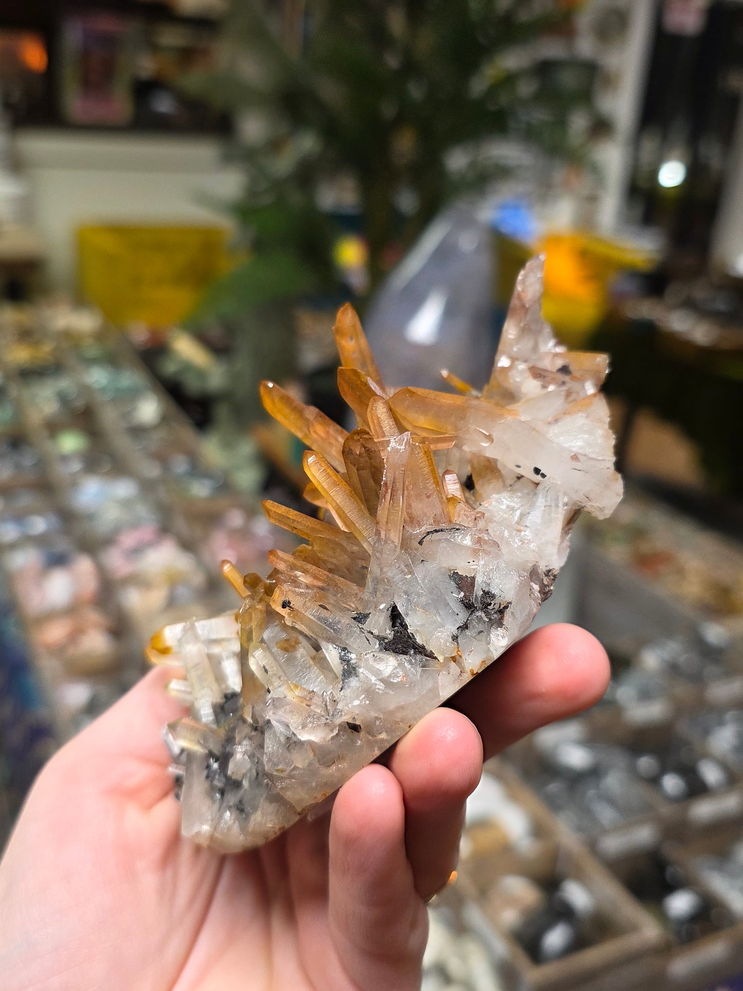 Specular Hematite On Quartz