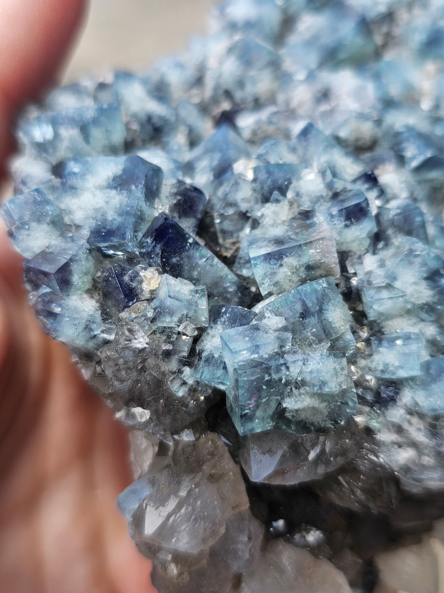 Diana Maria Fluorite