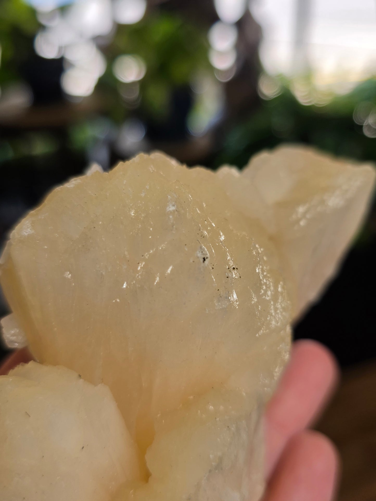 Stillbite with Apophyllite