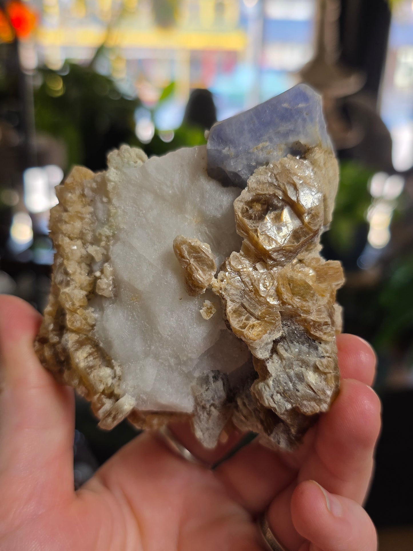 Hackmanite and Golden Mica on Albite