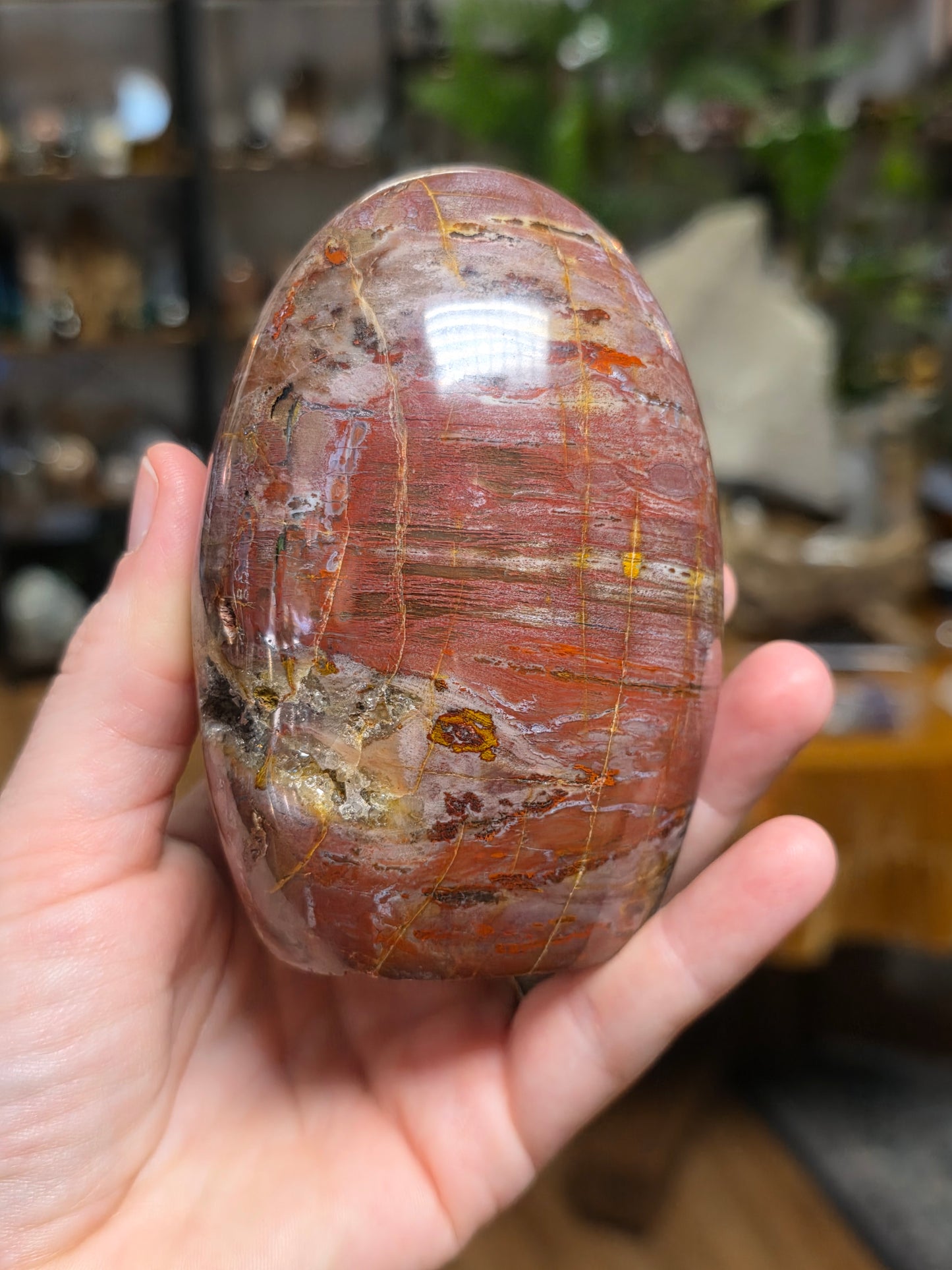 Petrified Wood Freeform