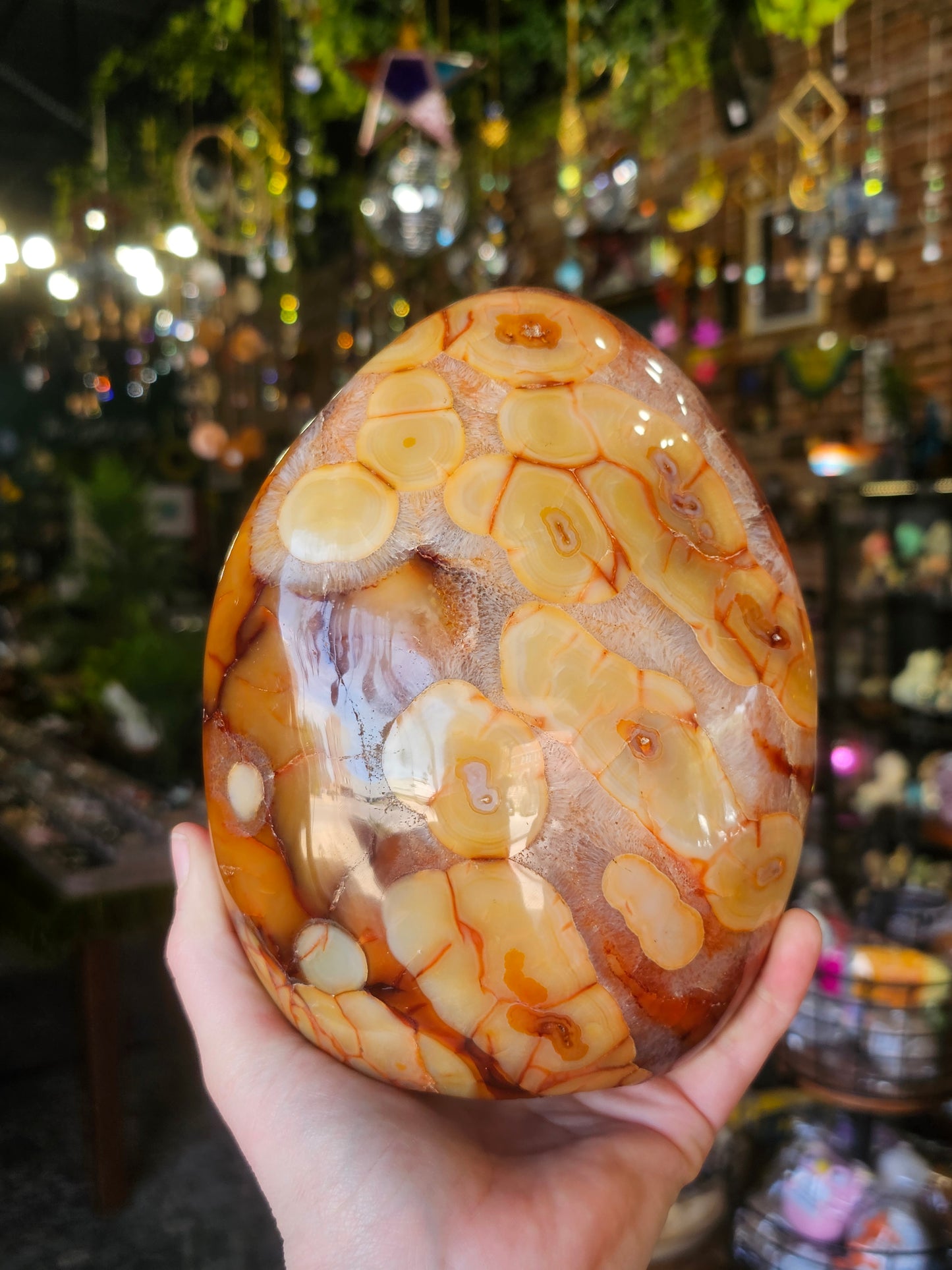 Carnelian Agate Freeform