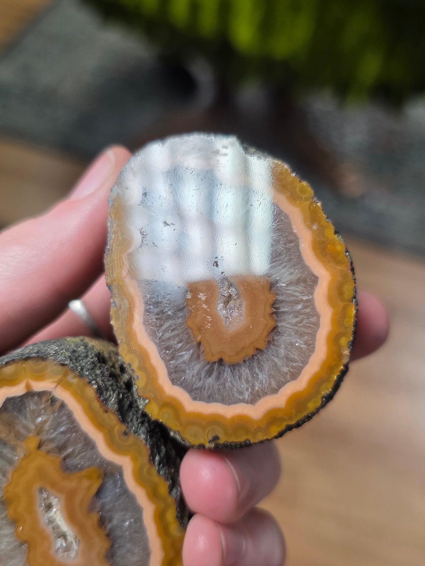 Fighting Blood Agate