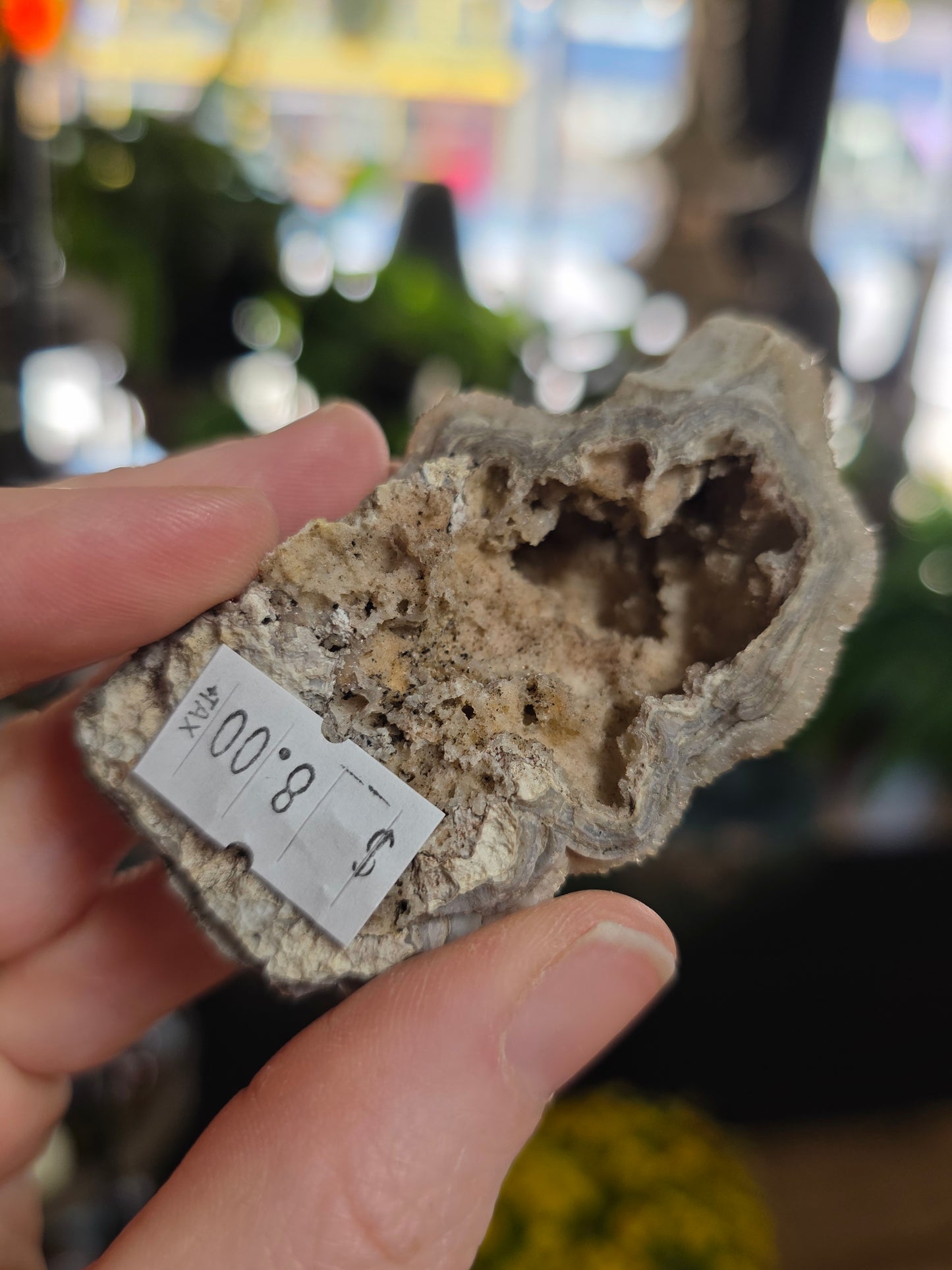 Druzy Lace Agate