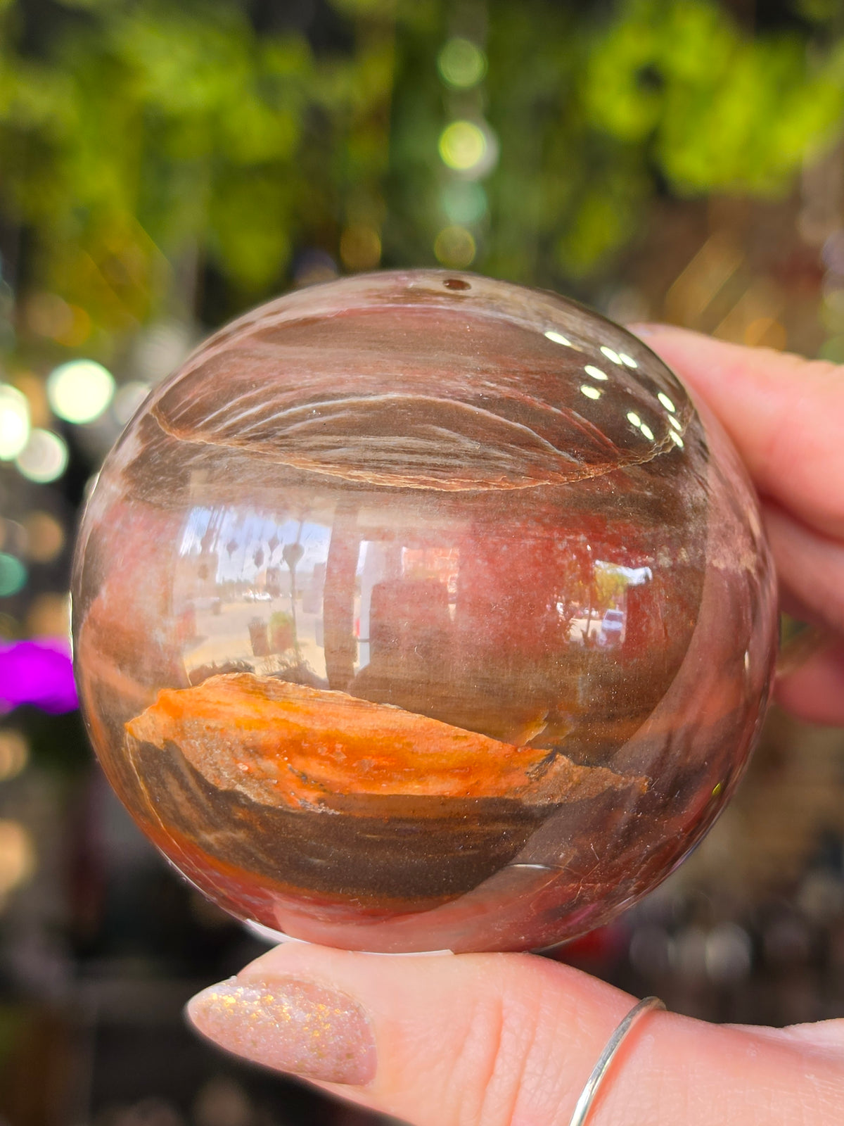 Petrified Wood Sphere