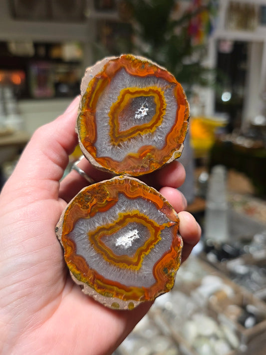 Fighting Blood Agate Pair
