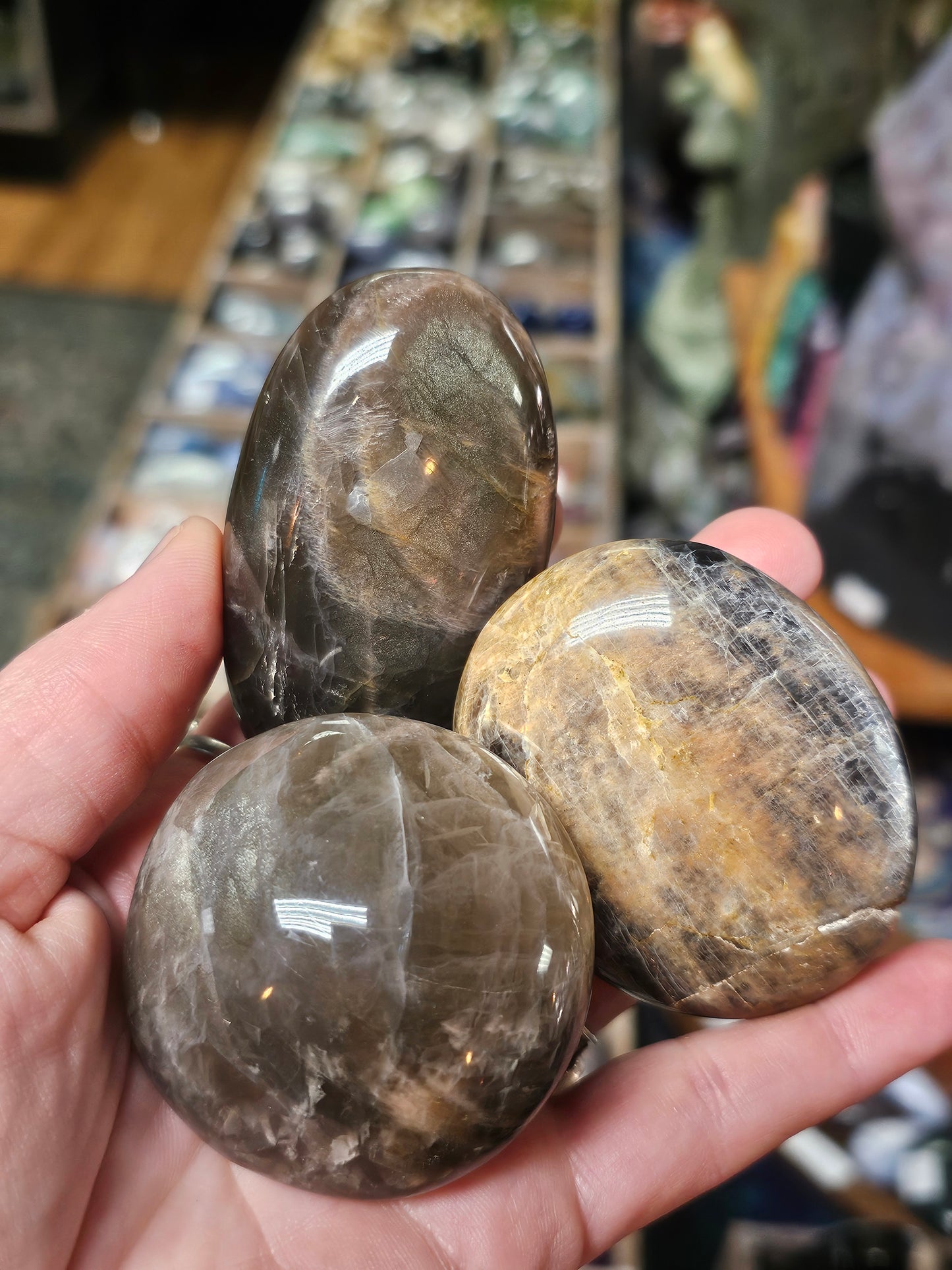 Black Moonstone Palmstone