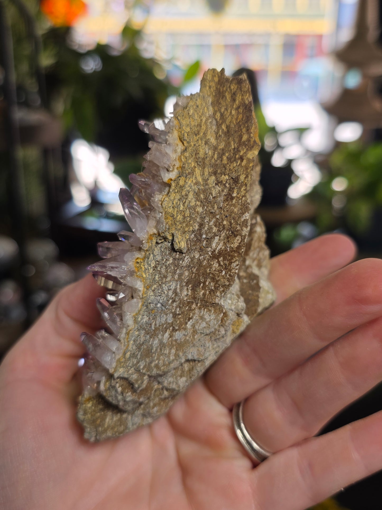 Vera Cruz Amethyst Cluster