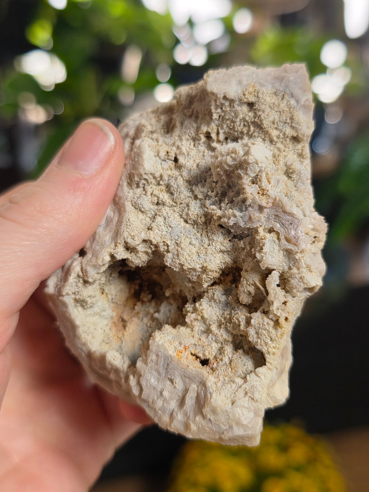 Druzy Lace Agate