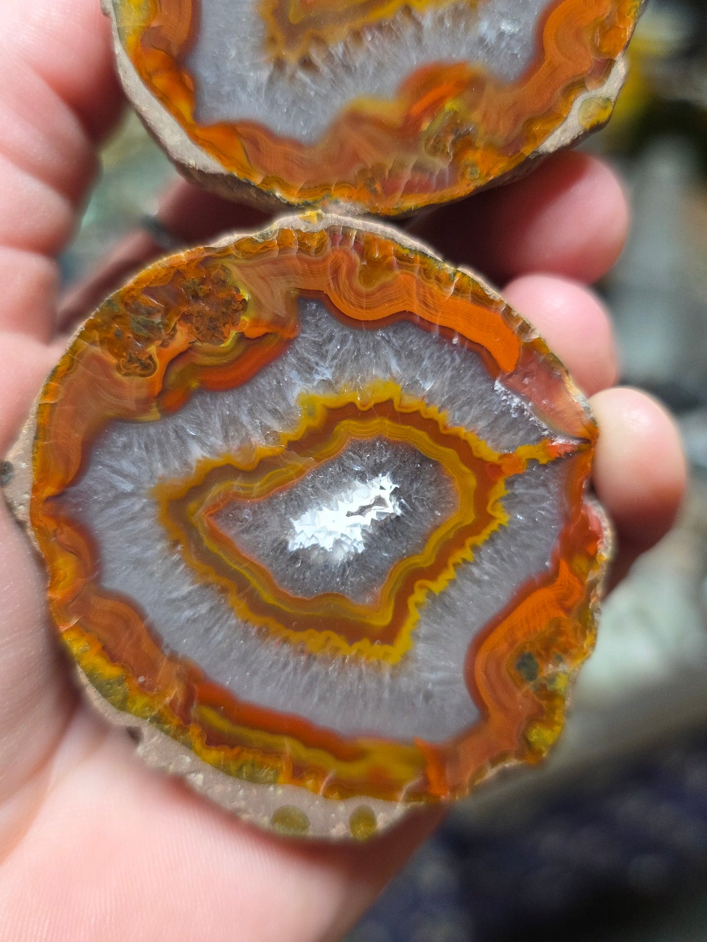Fighting Blood Agate Pair