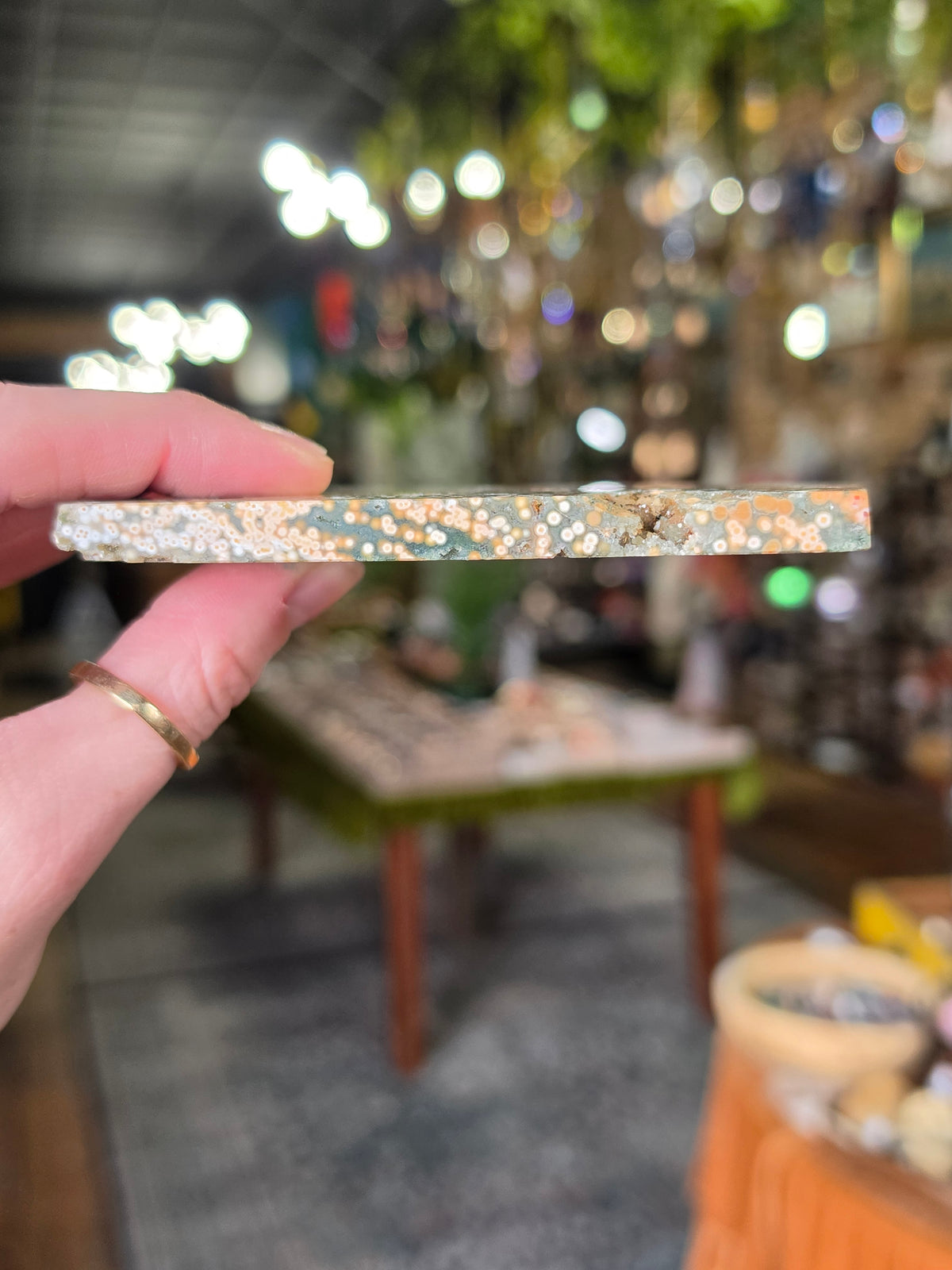 Ocean Jasper Polished Slab
