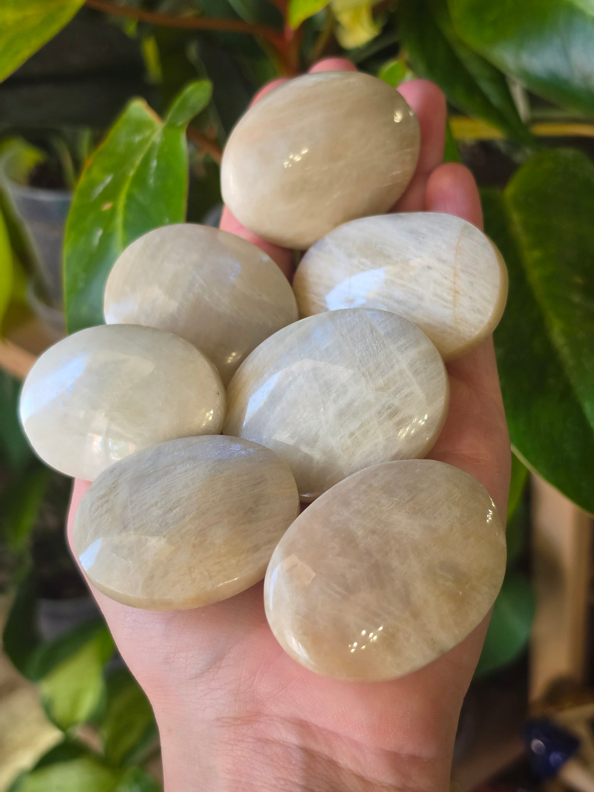 White Moonstone Palmstone