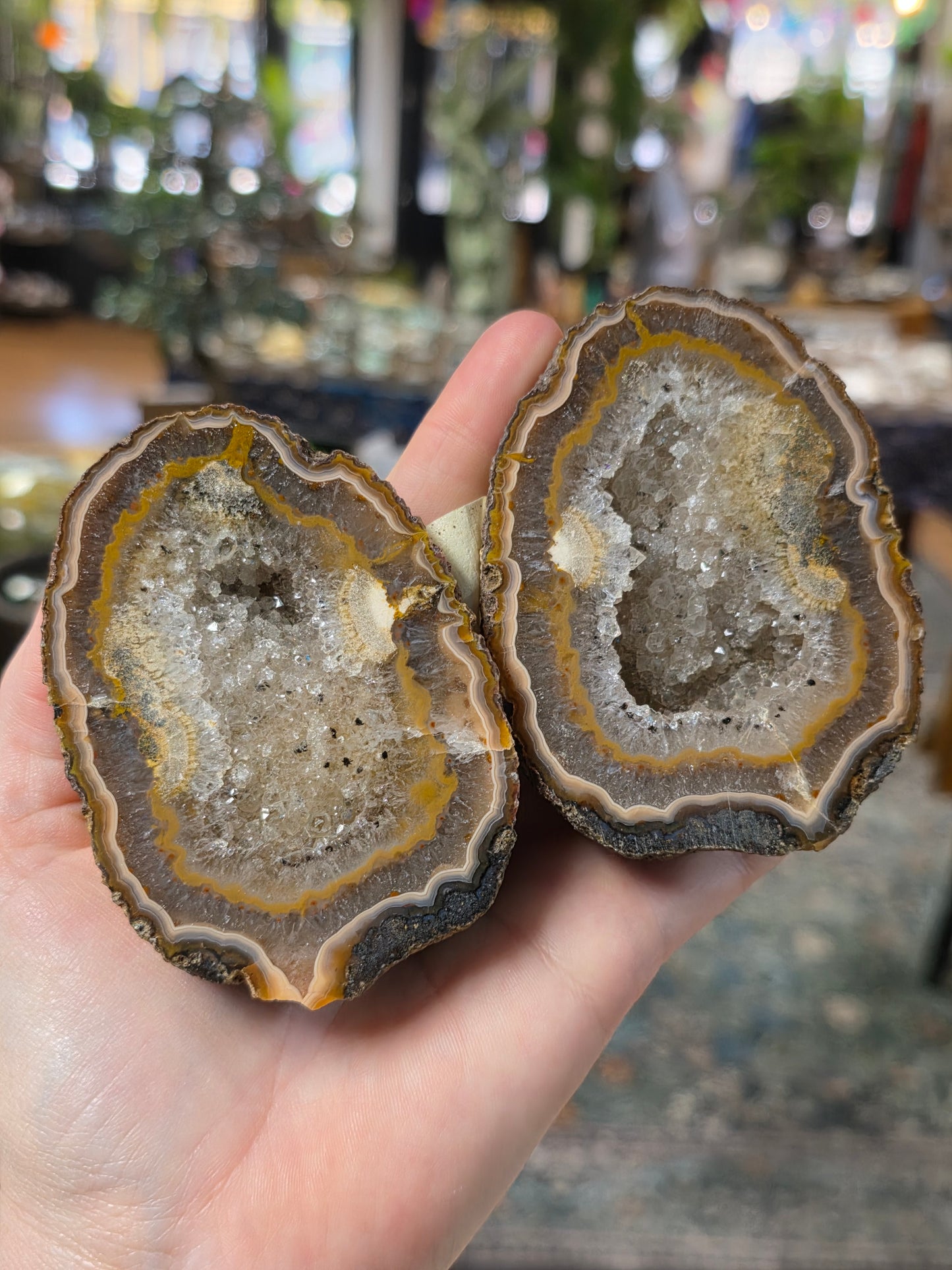 Fighting Blood agate