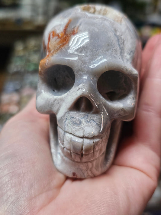 Laguna Lace Agate Skull
