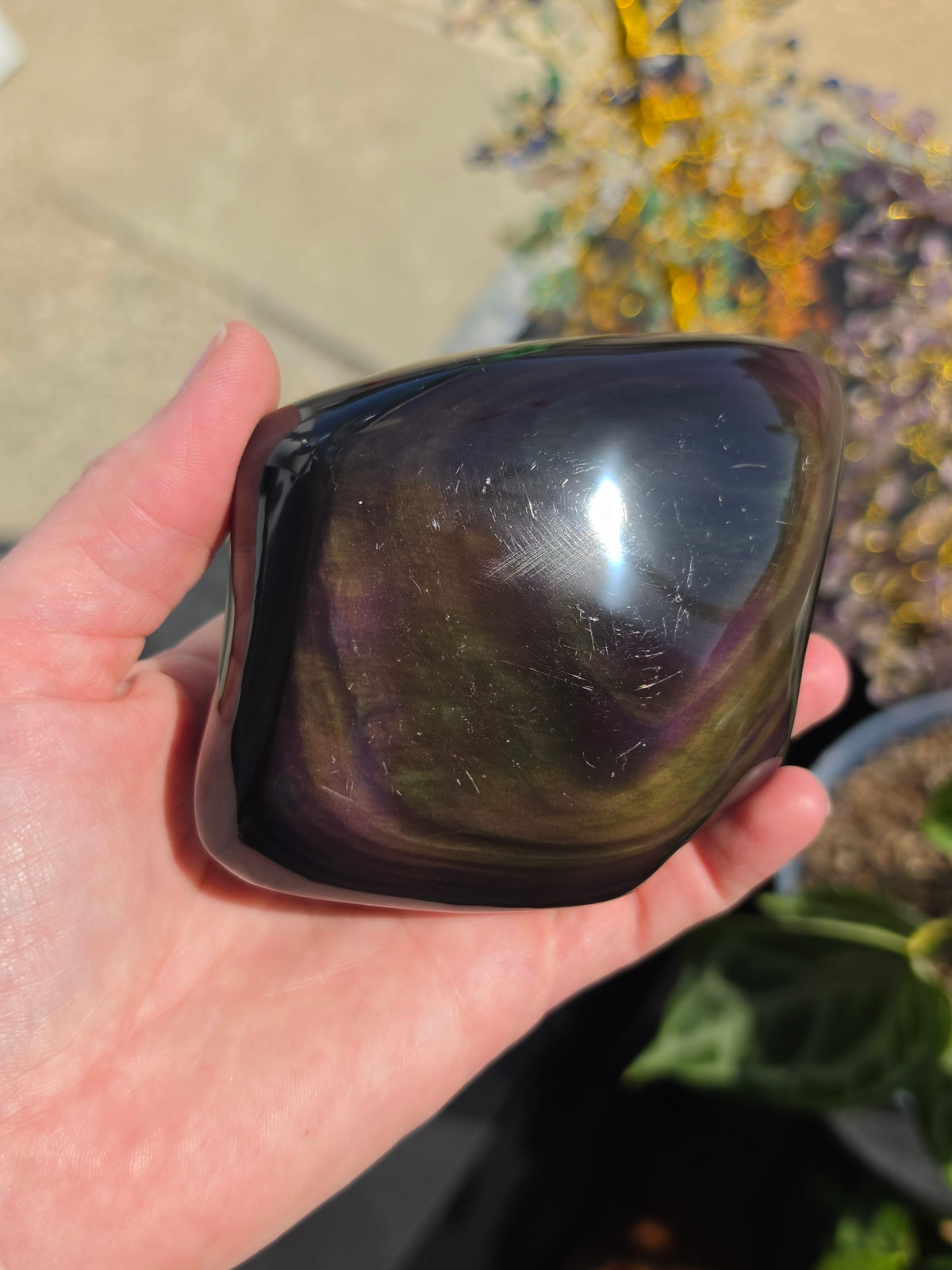 Rainbow Obsidian Freeform