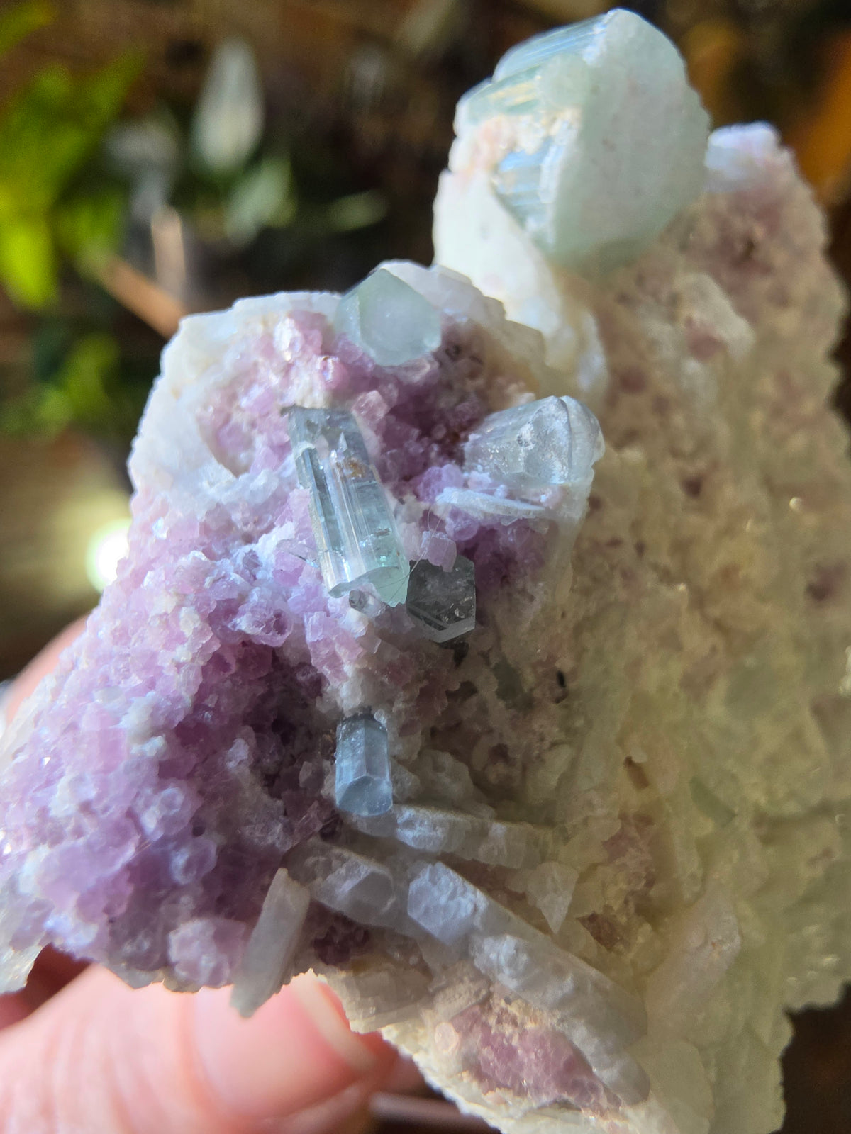 Blue Tourmaline and Lepidolite on Cleavlandite