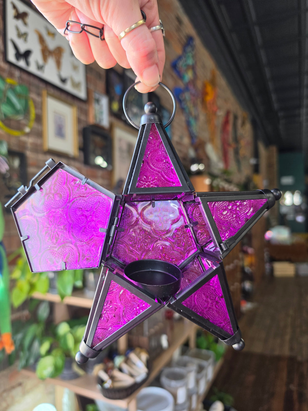 Purple Star Lantern