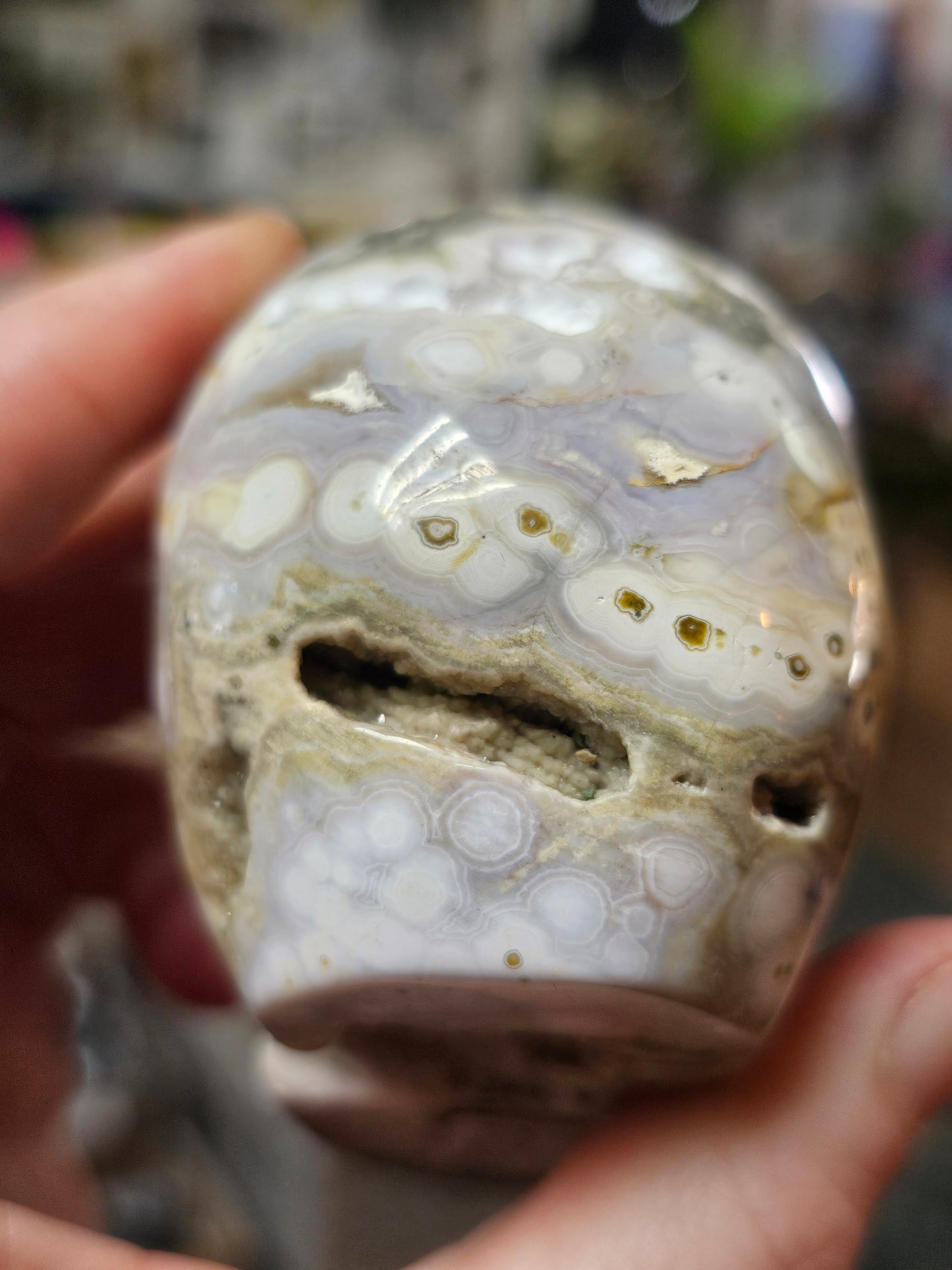 Orbicular Jasper Skull