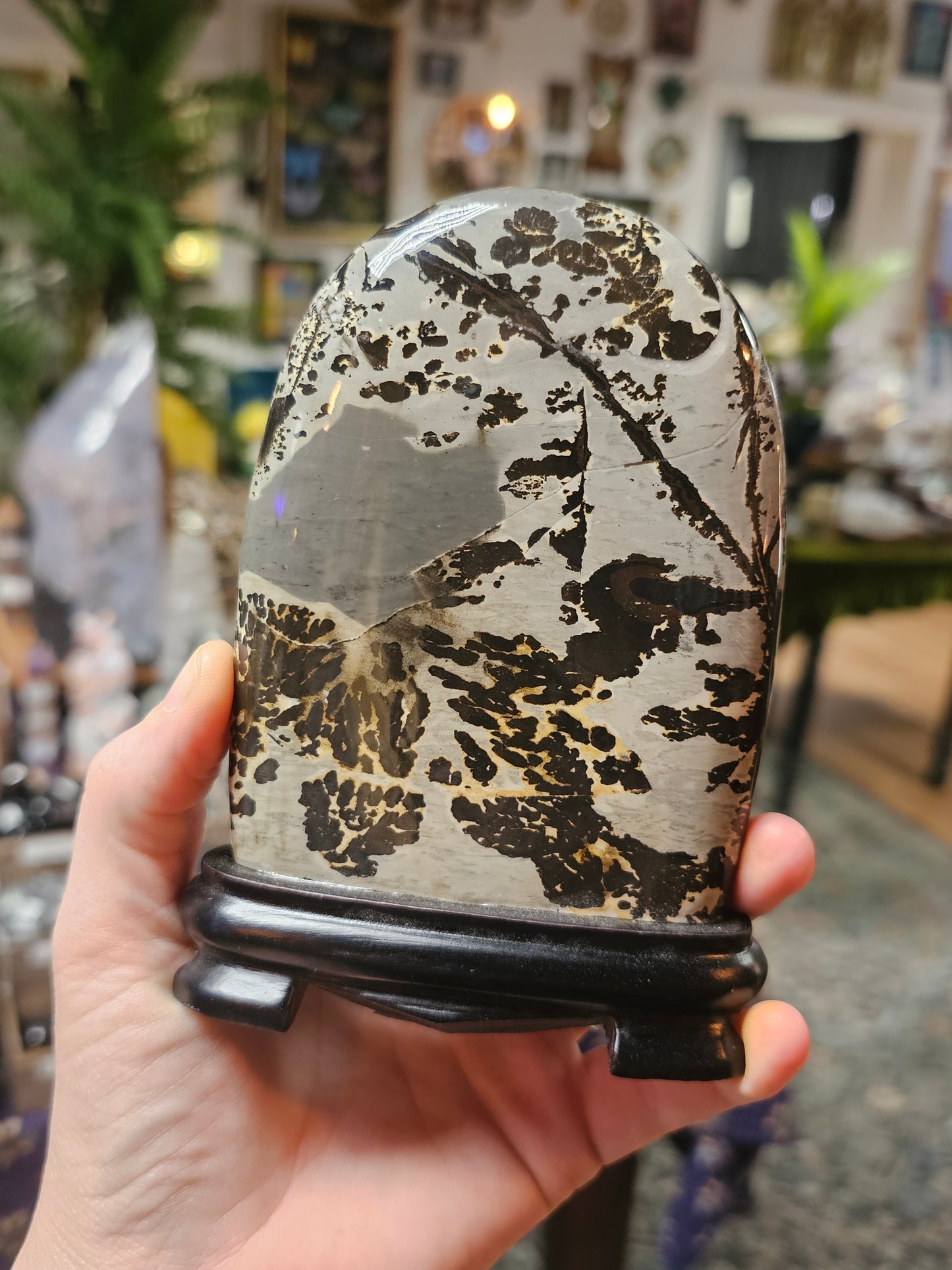 Dendritic Jasper Freeform on Wooden Base