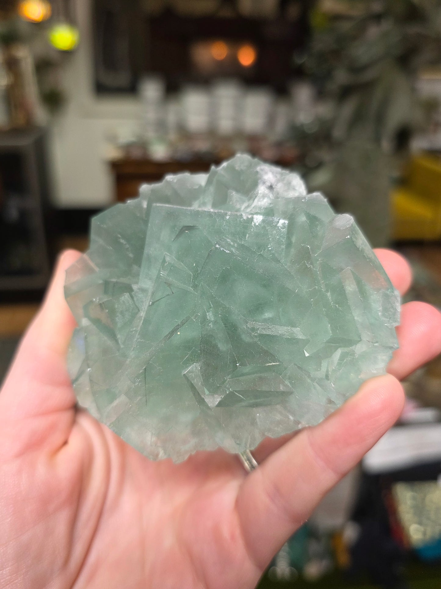 Green Fluorite