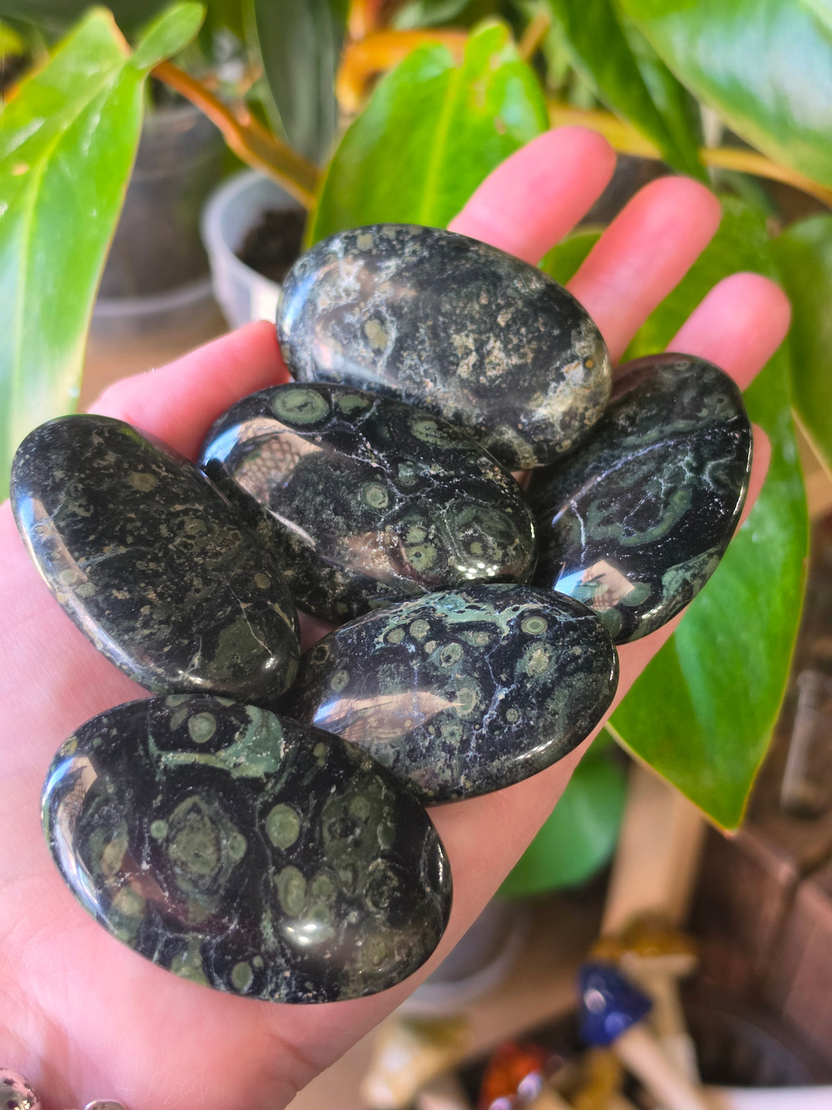 Kambaba Jasper Palmstone