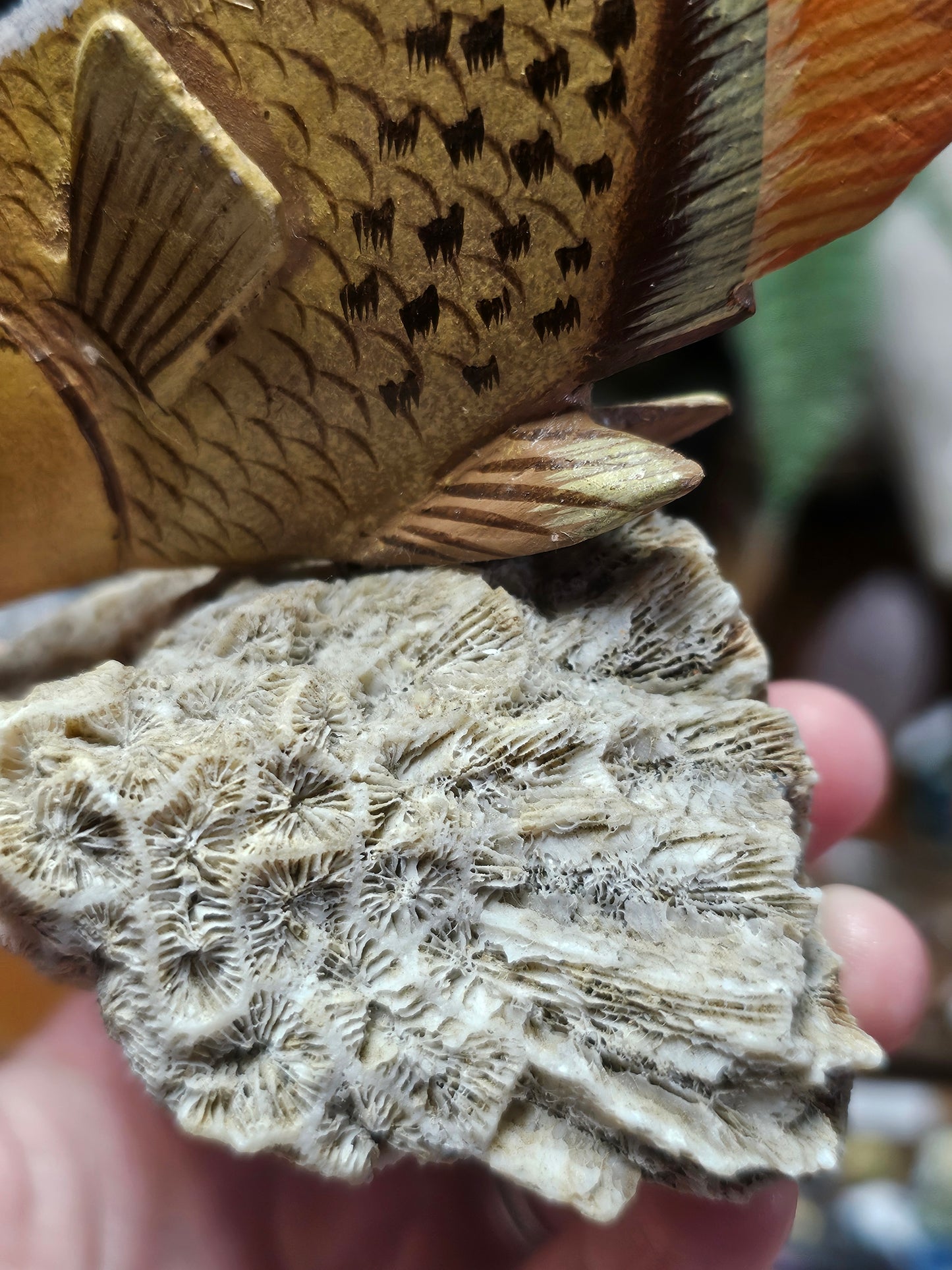Wooden Threadfin ButterflyFish Carving, Natural Coral Base