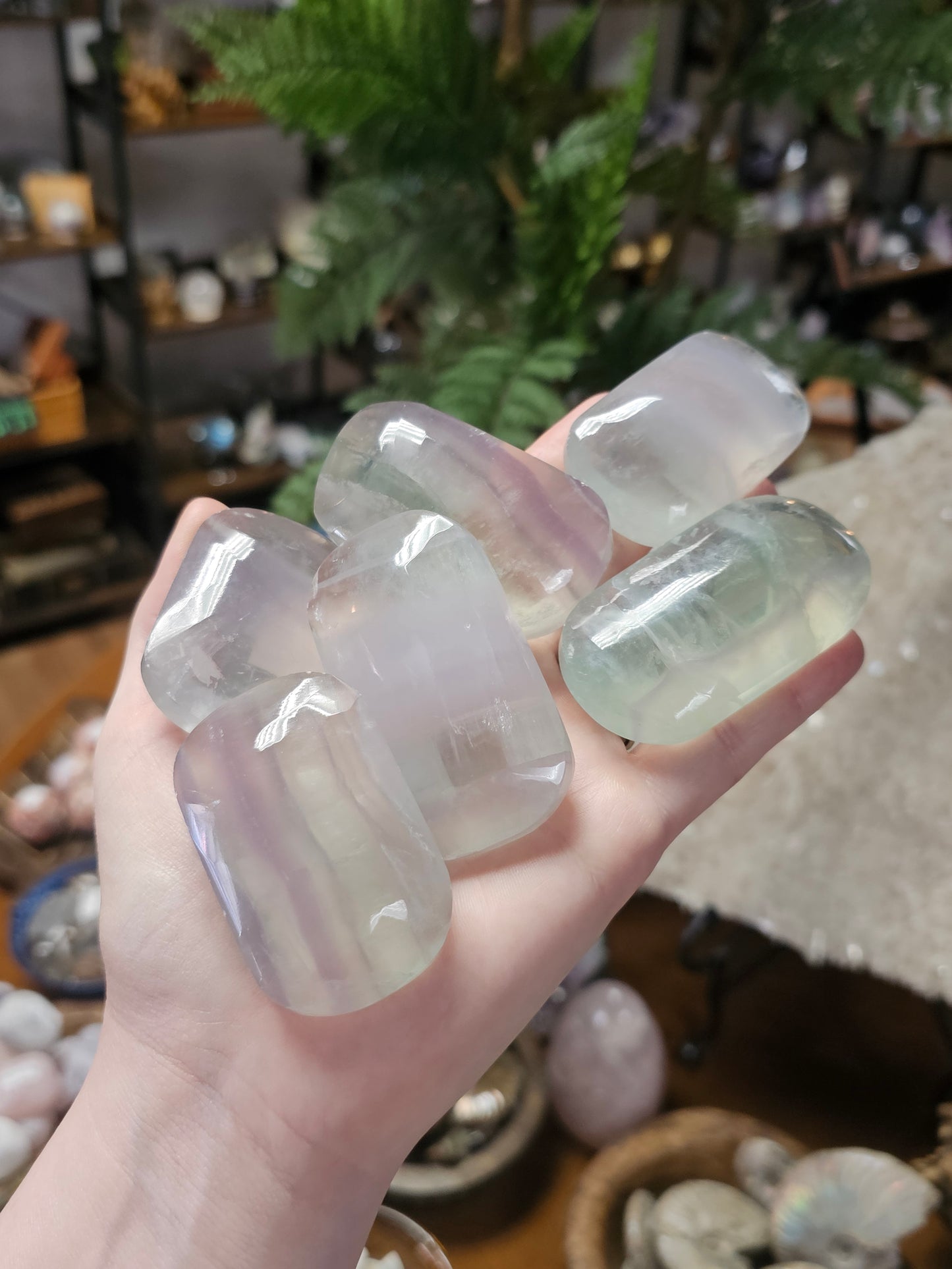 Lavendar Fluorite palms (Yttrium Fluorite)