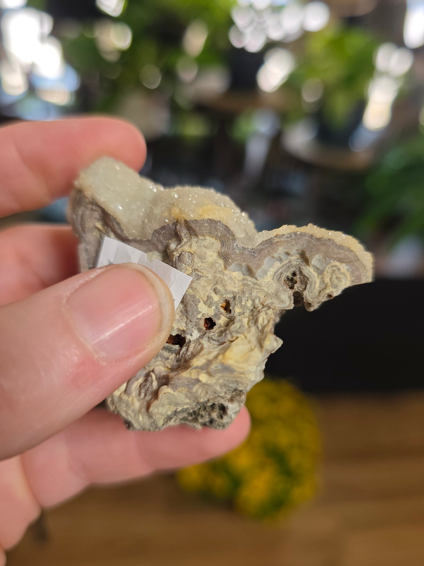 Druzy Lace Agate