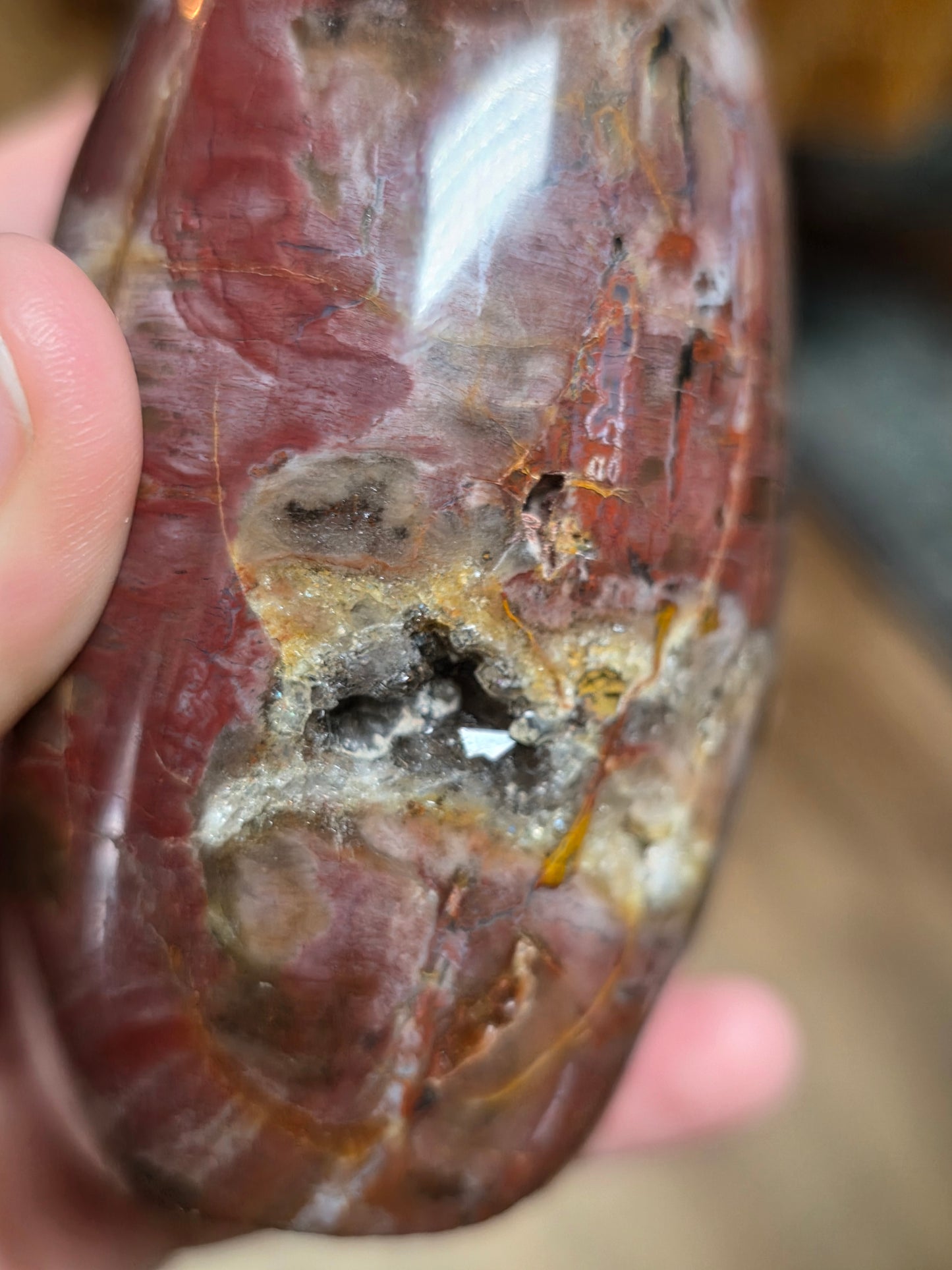 Petrified Wood Freeform