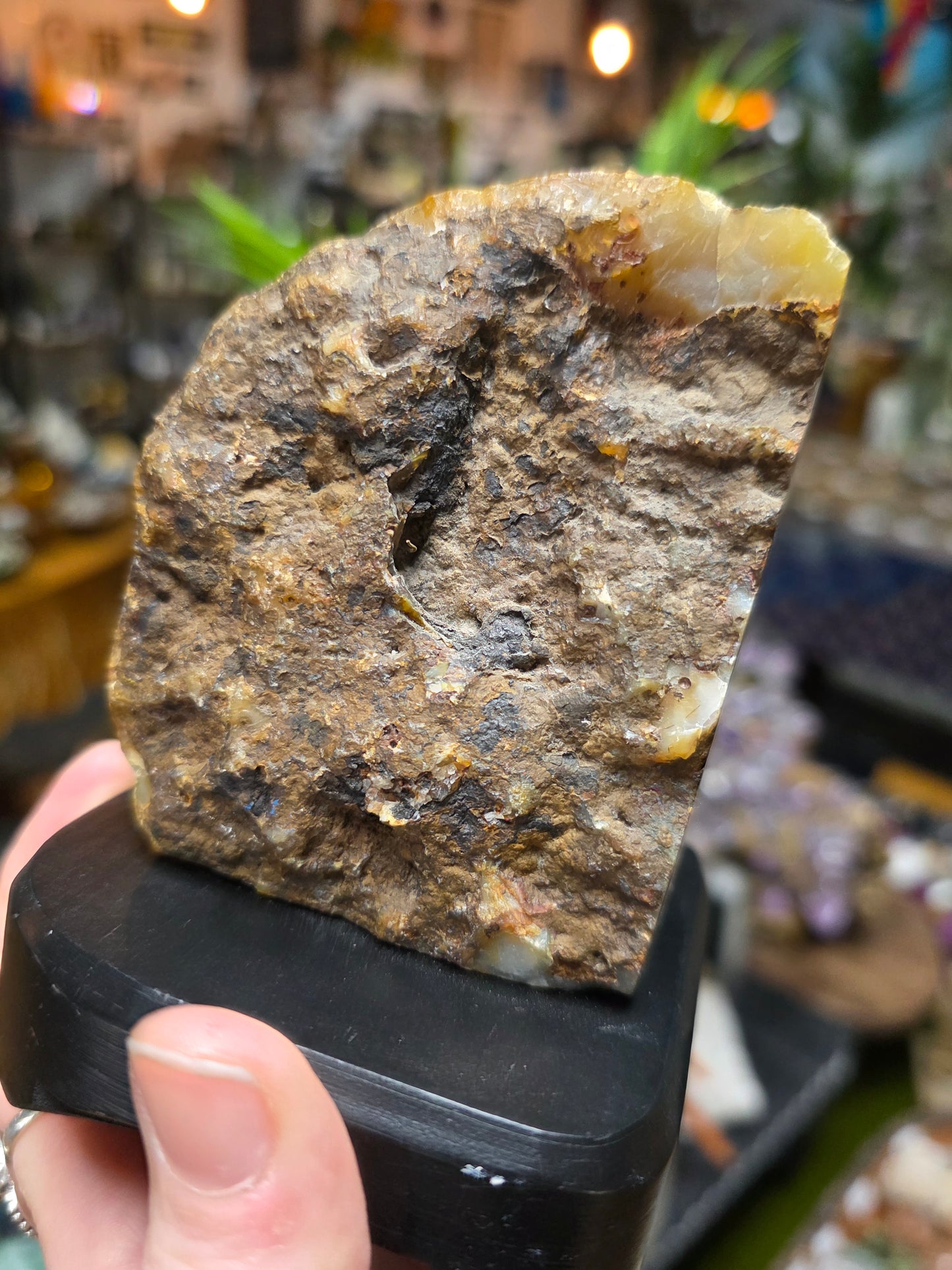 Agate Halve  on Wooden Stand