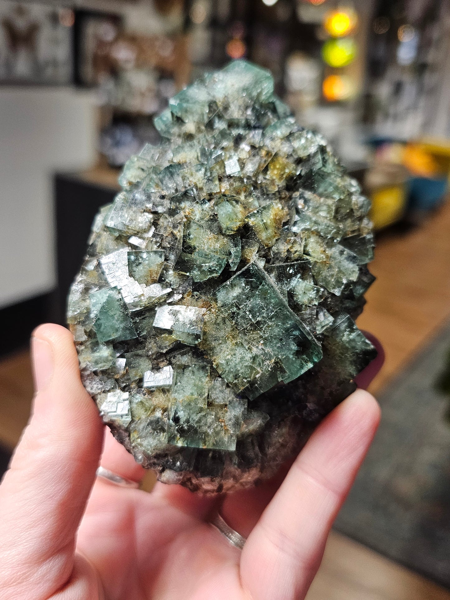 Diana Maria Fluorite ( Hidden Forest Pocket)
