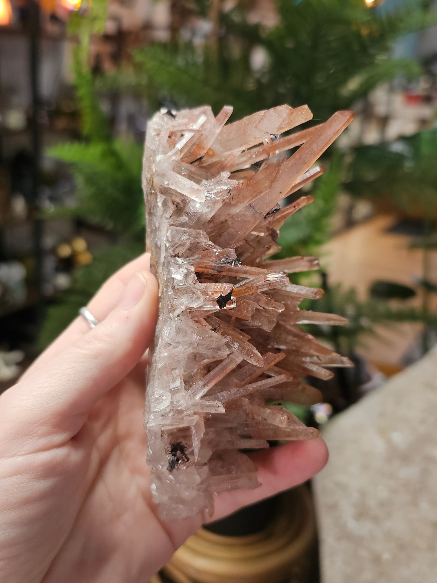 Specular Hematite on Quartz