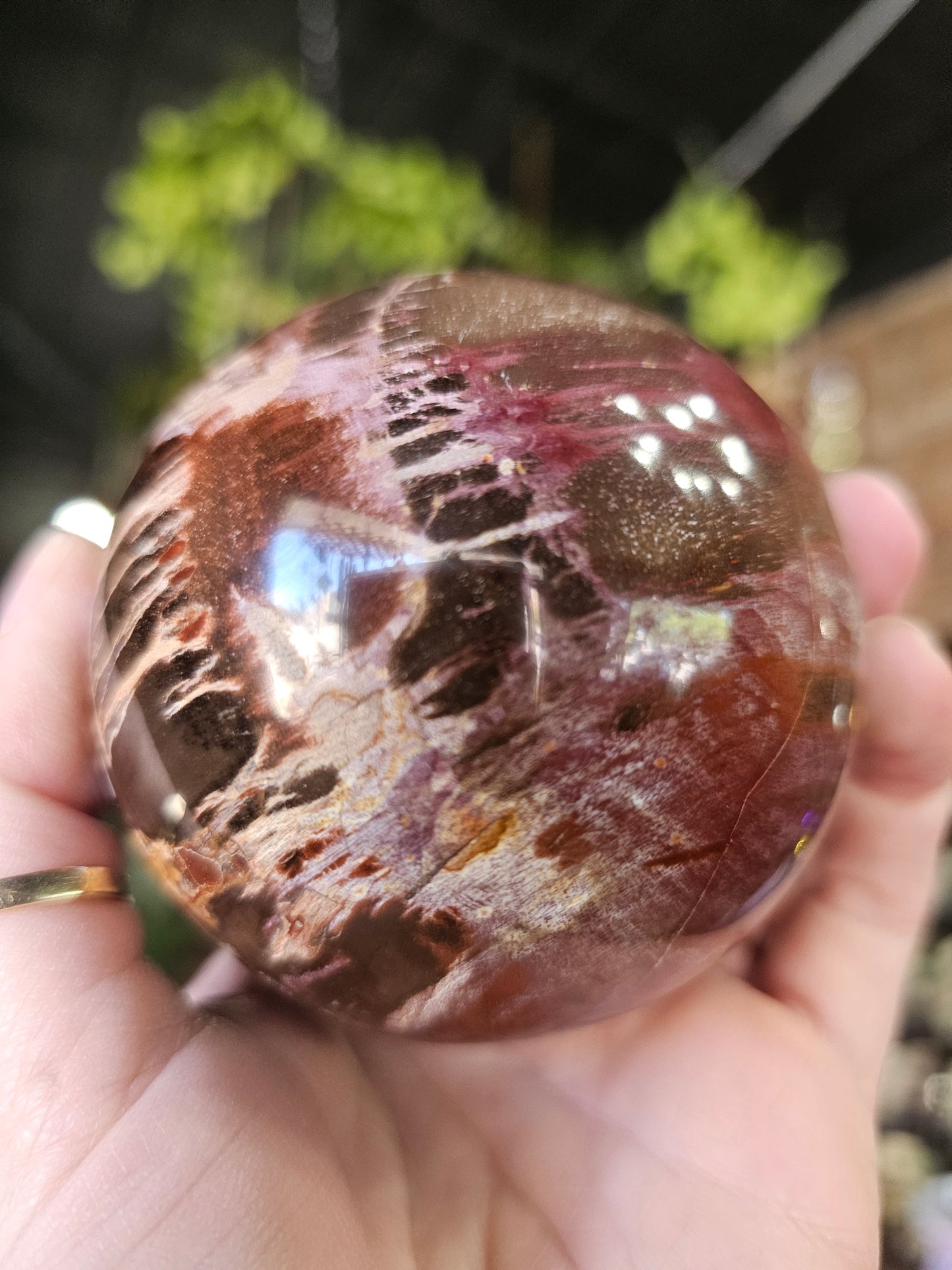 Petrified Wood Sphere