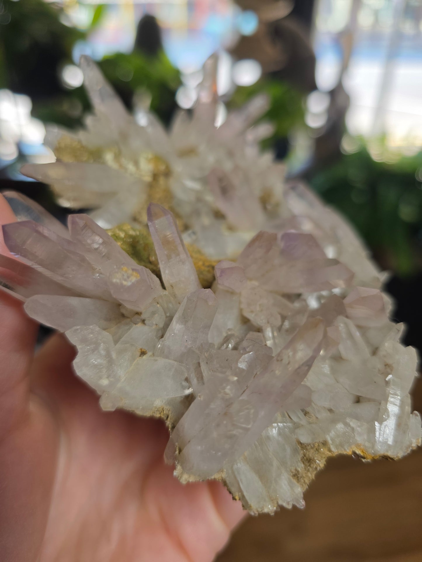 Vera Cruz Amethyst Specimen