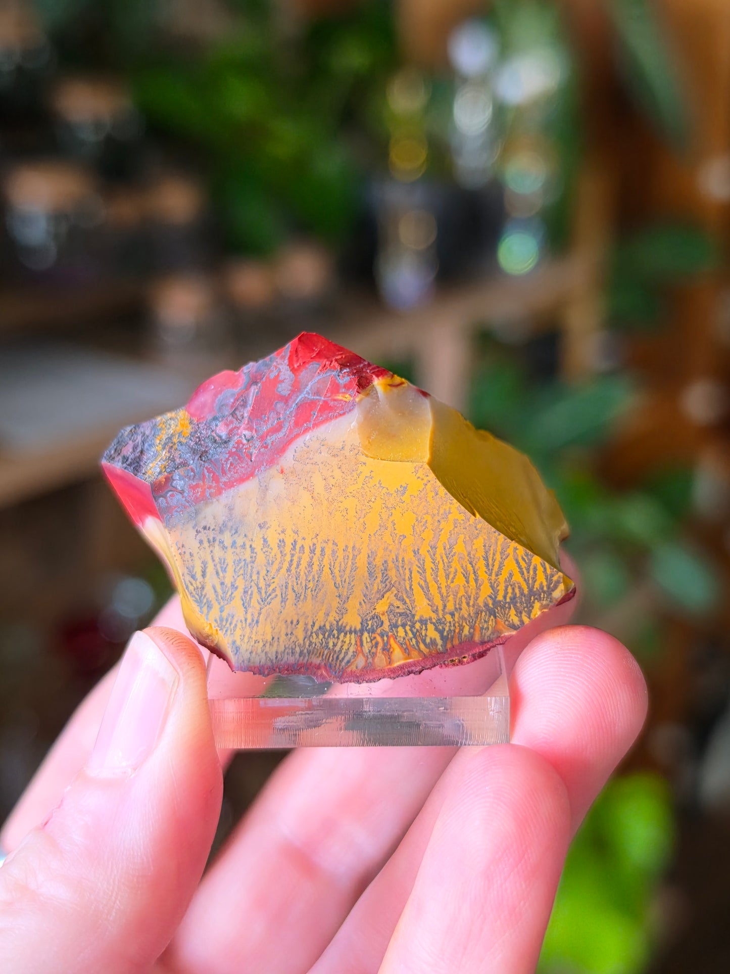 Mookaite with Dentrites